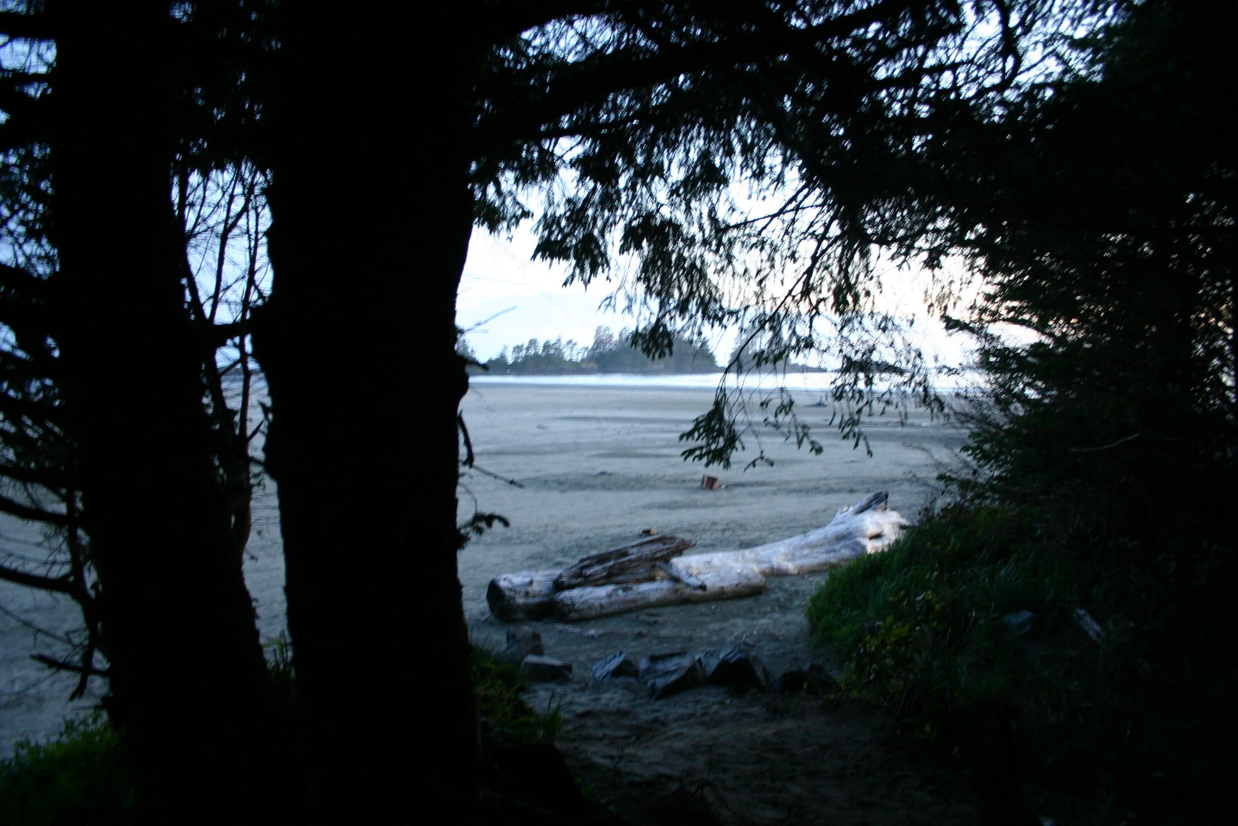 Copy (3) of Picture 085.jpg