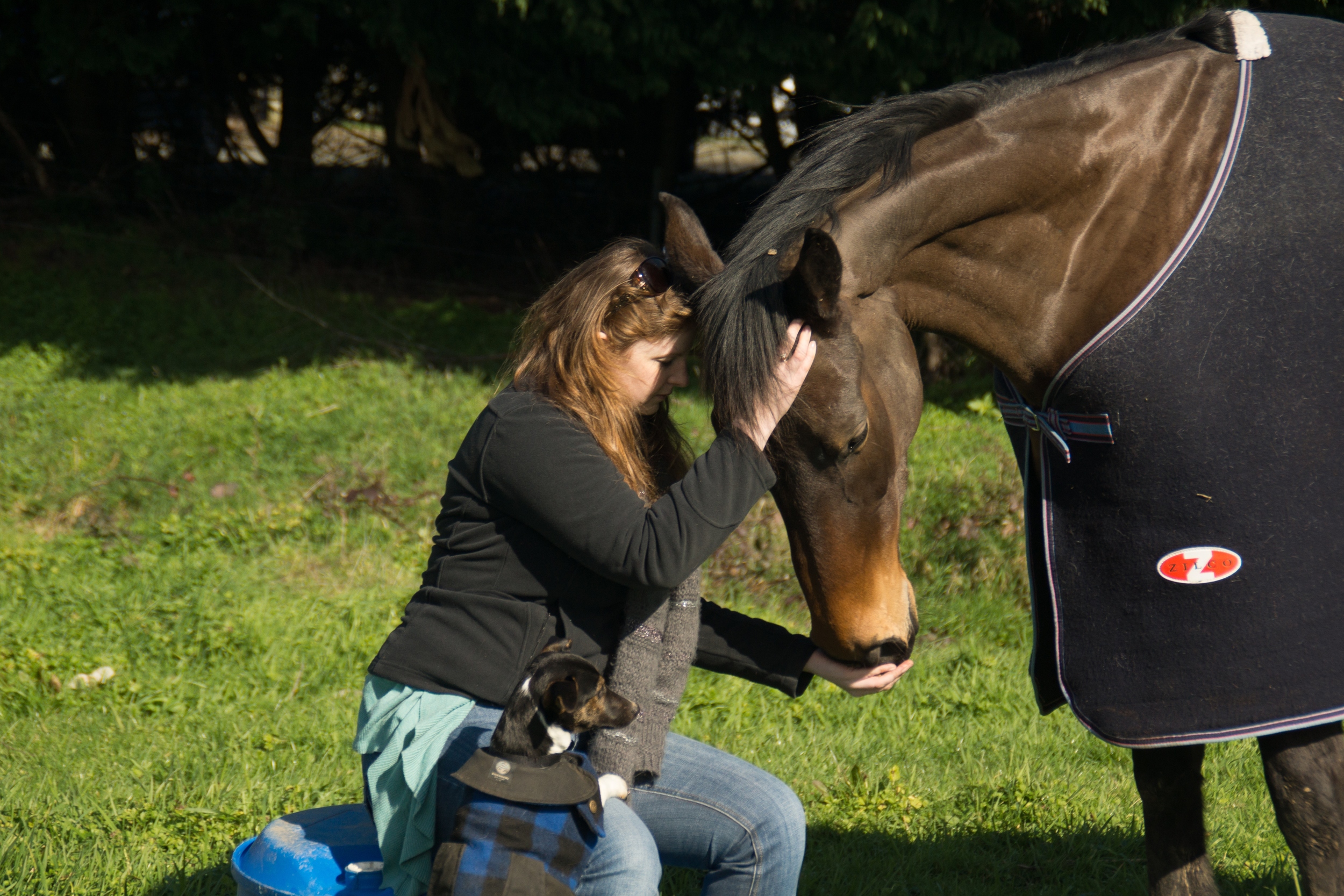 'When species meet: Cultivating connection and friendship' | Photo by Hannah Gibson. Hannah was a finalist in the 2014 AAS/ANSA Photography Competition for this photo of her Honours research.