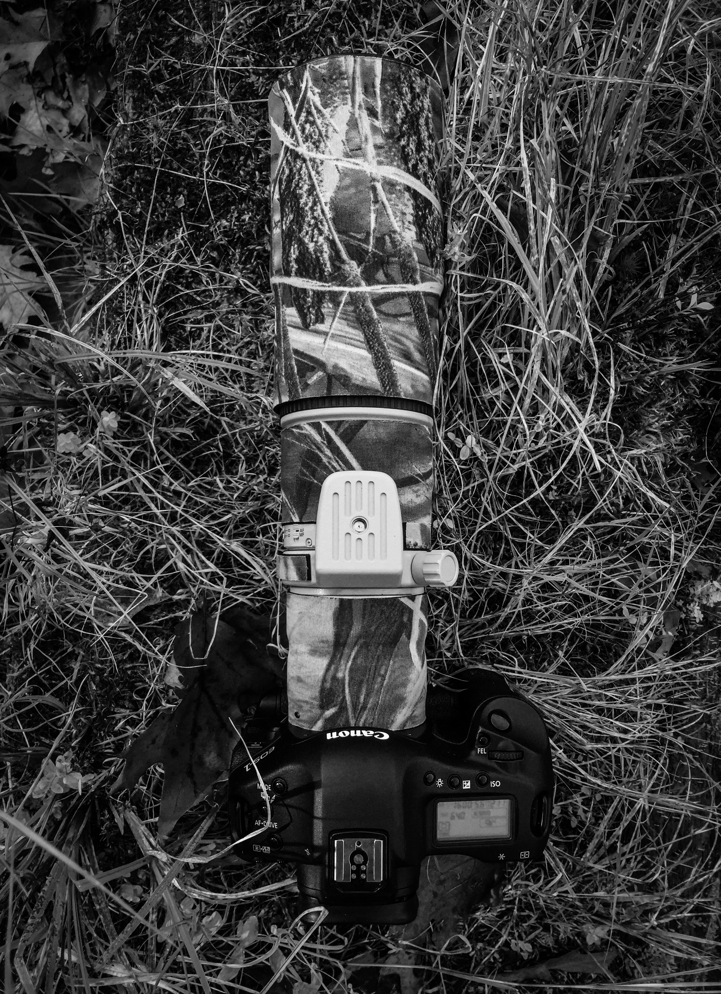 Camera and lens.jpg