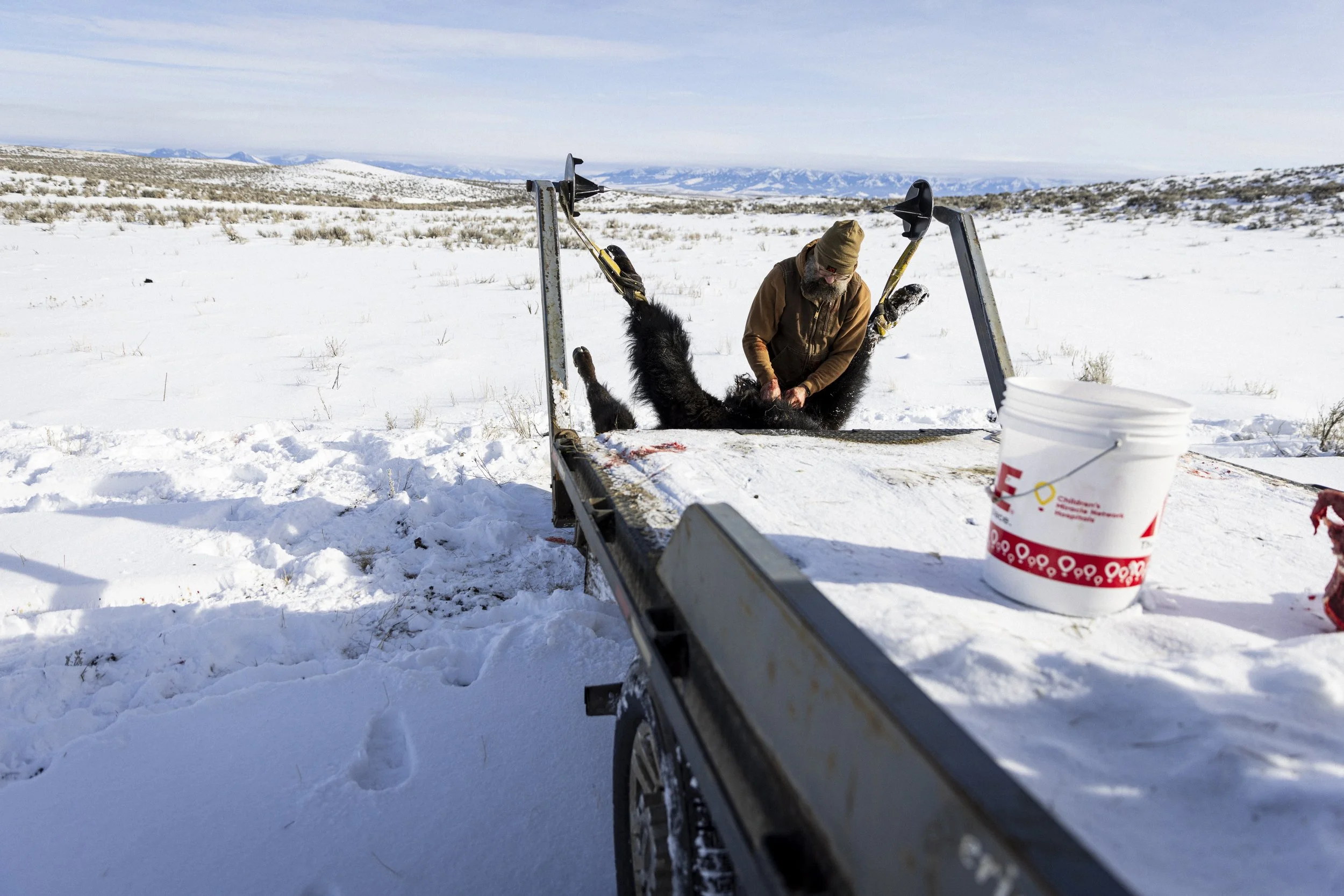  Matt field harvests and processes the animals himself, before delivering them to the local butcher a short while later.   © Kyle Dudgeon Creative 