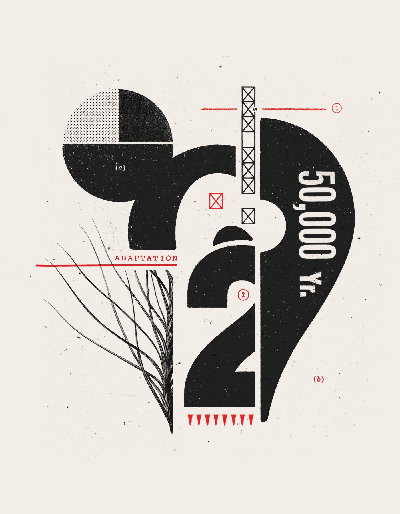 illo-portrait-numbers.jpg