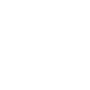 Flight Cannabis Logo