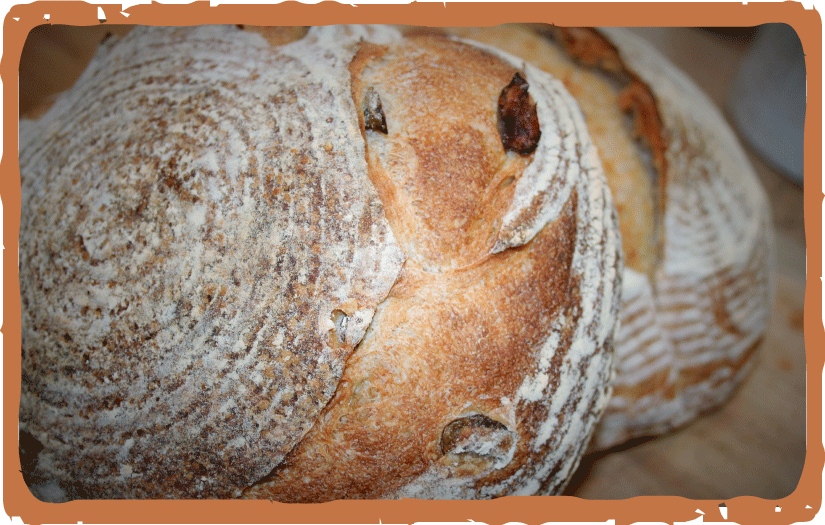 Hideaway-Bakery_website_Menu_BREAD_pic-Green-Olive-Loaf-v1.png