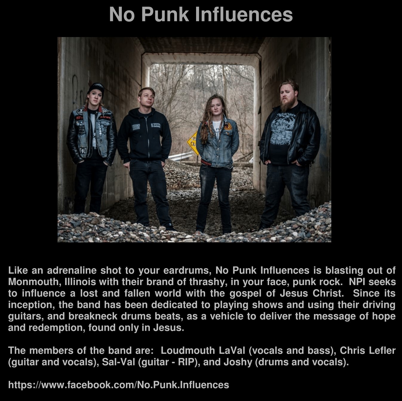 No Punk Influences 170104-1 crop.jpg