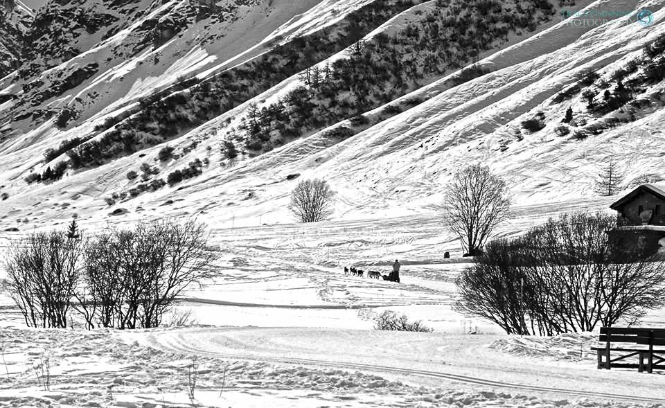 Val d'lsere Dog Sled.jpg