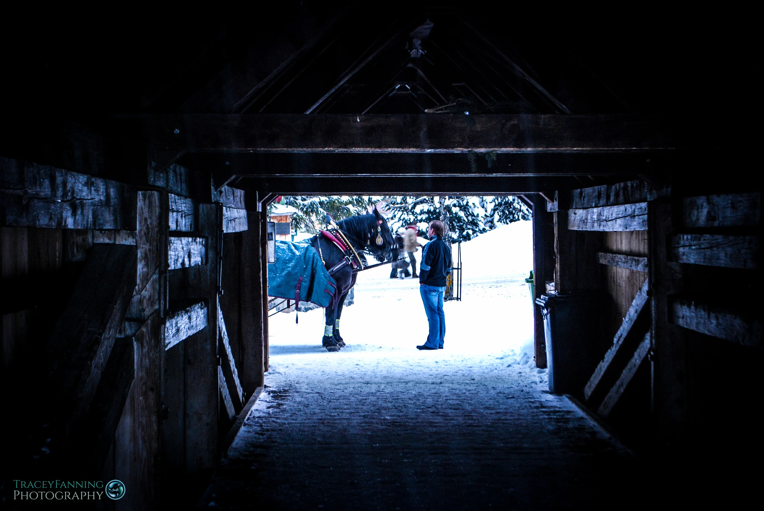 Snowy Sleigh Doorway.jpg
