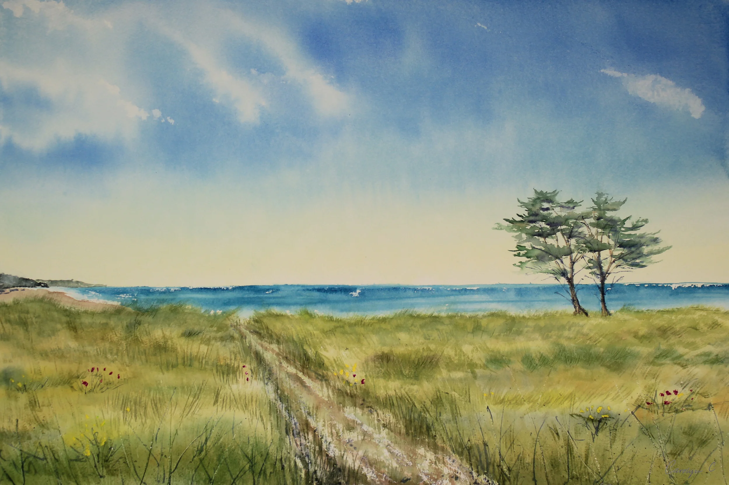 Cypress and the Sea
