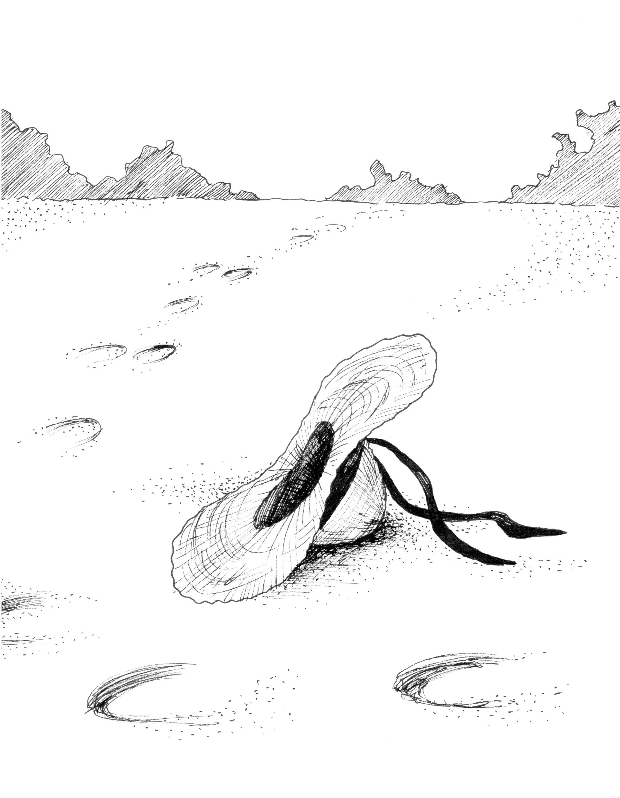 Children's Book Illustration