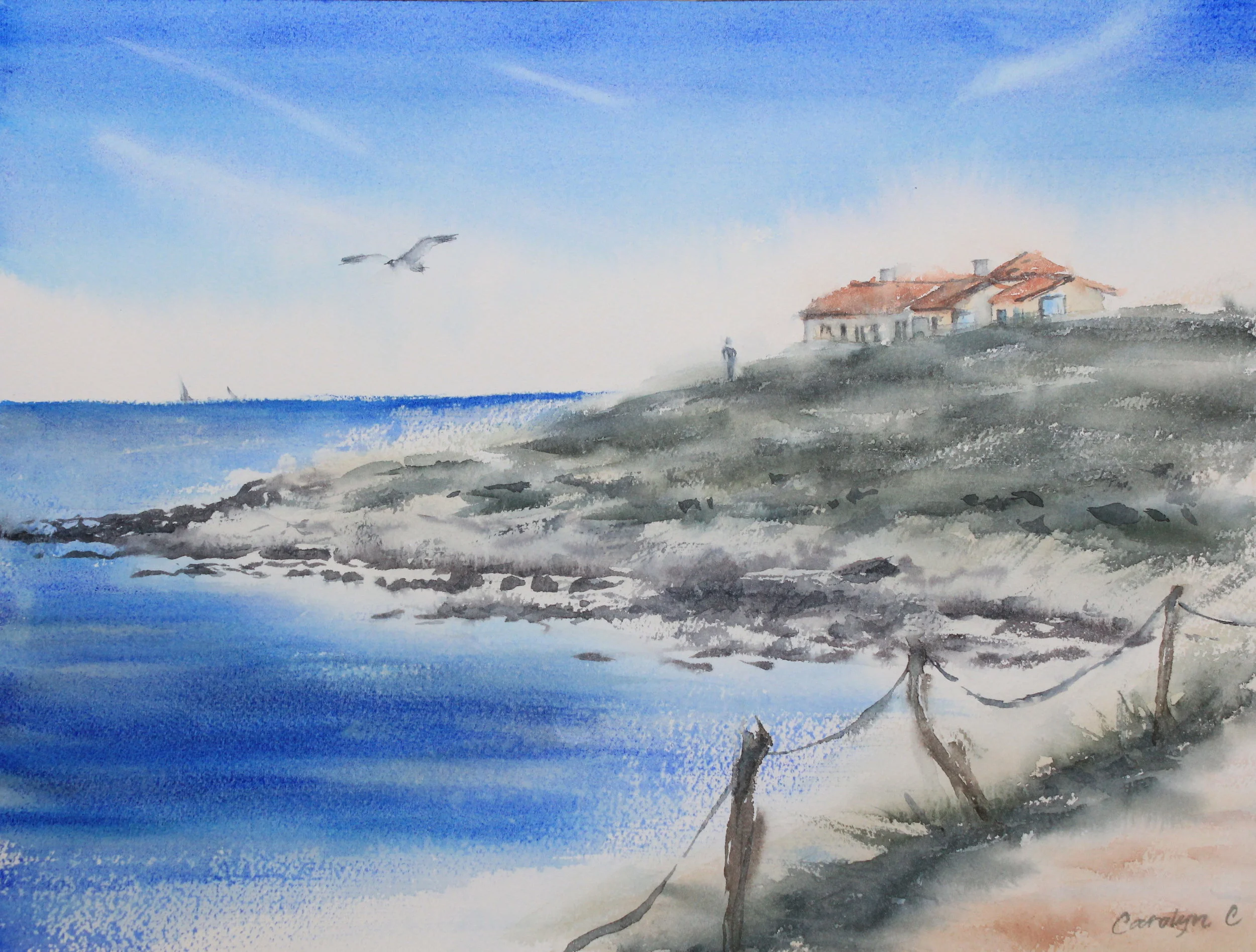 Call of the Running Tide 72.JPG