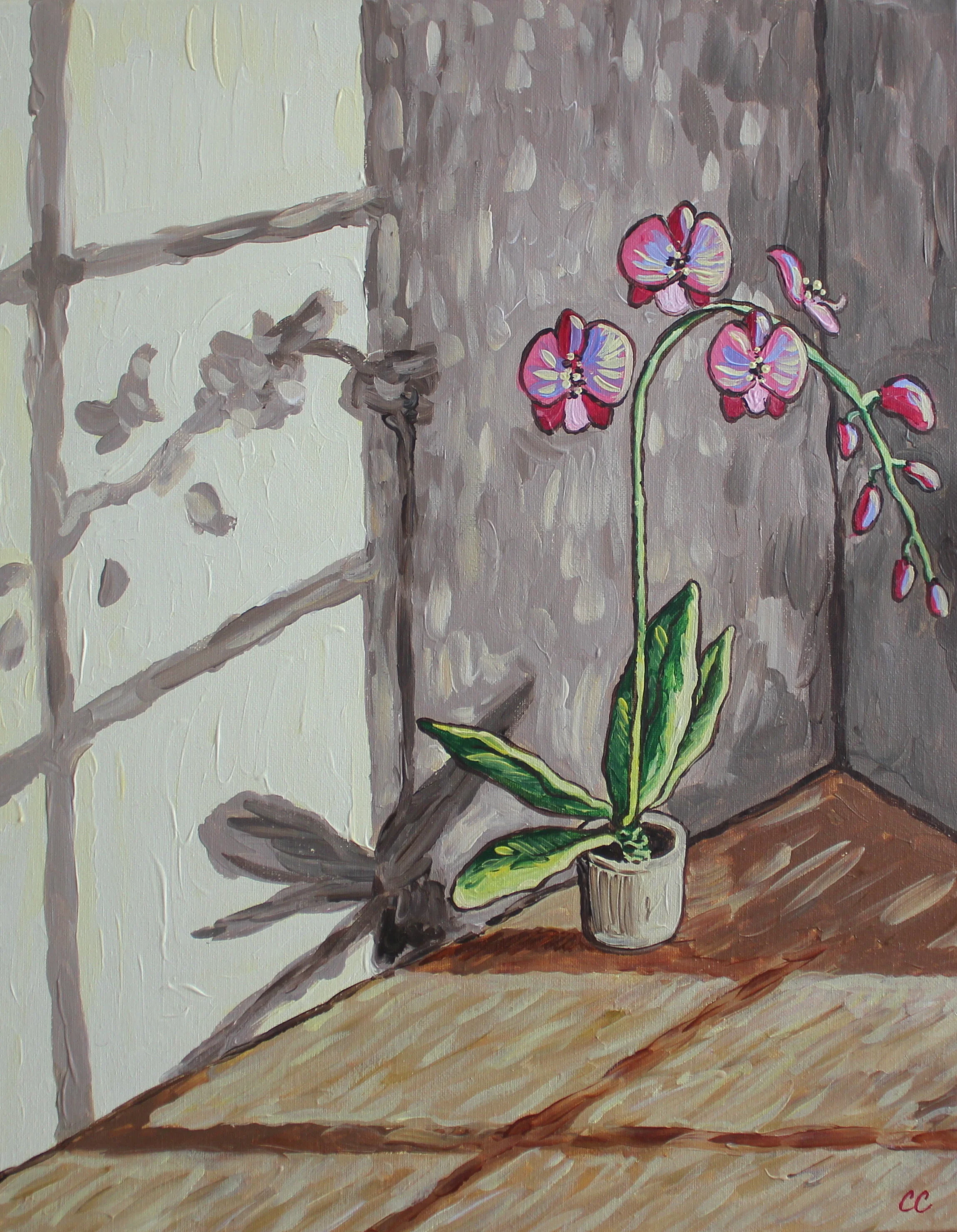 Orchid 1