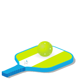 paddle-ball-bounce.gif