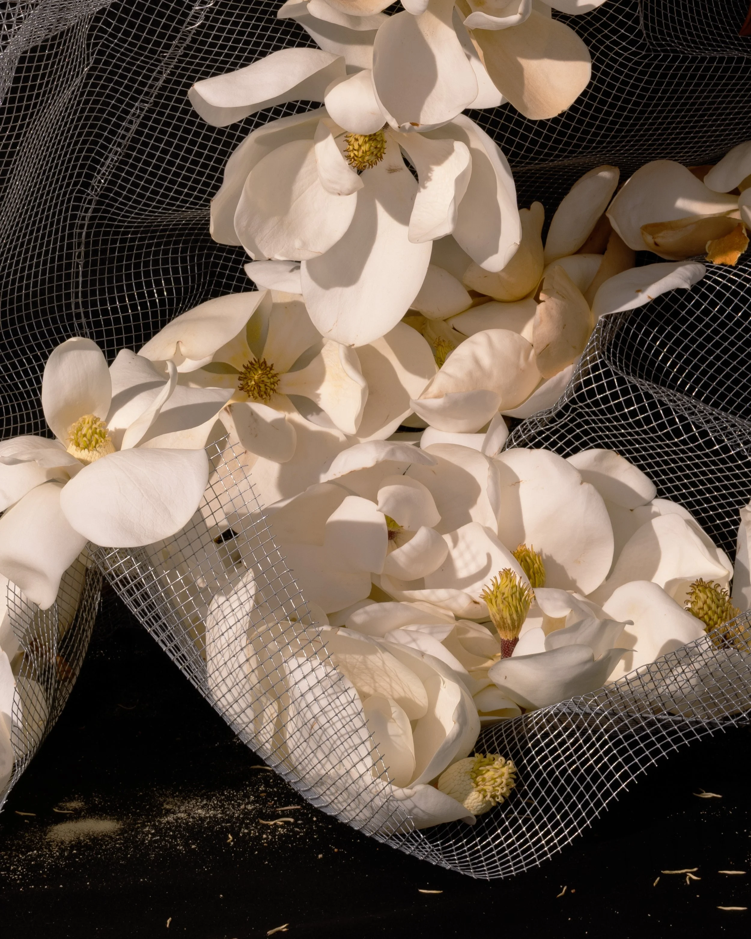 DSC09825 detail 2.jpg