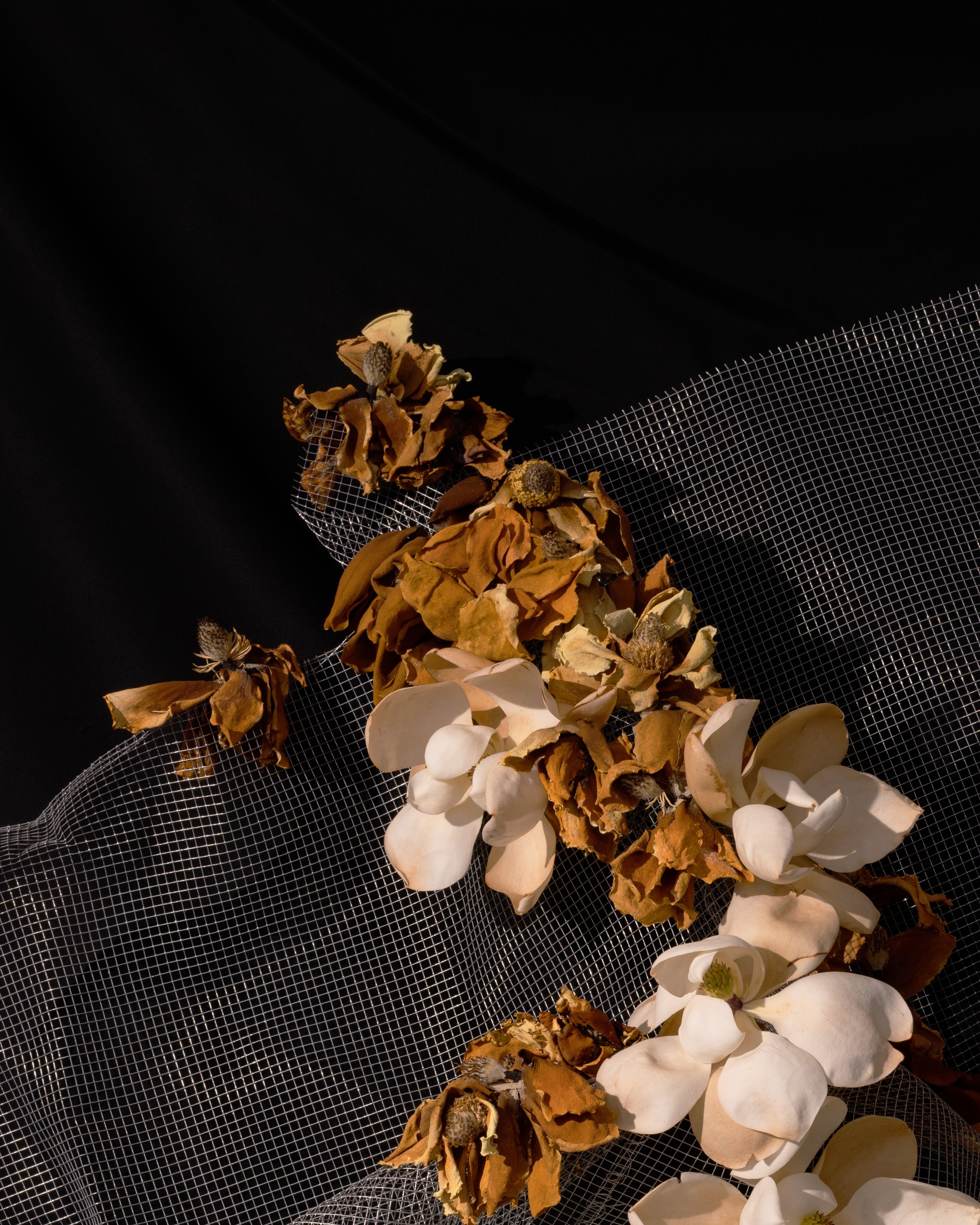 DSC09825 detail 1.jpg