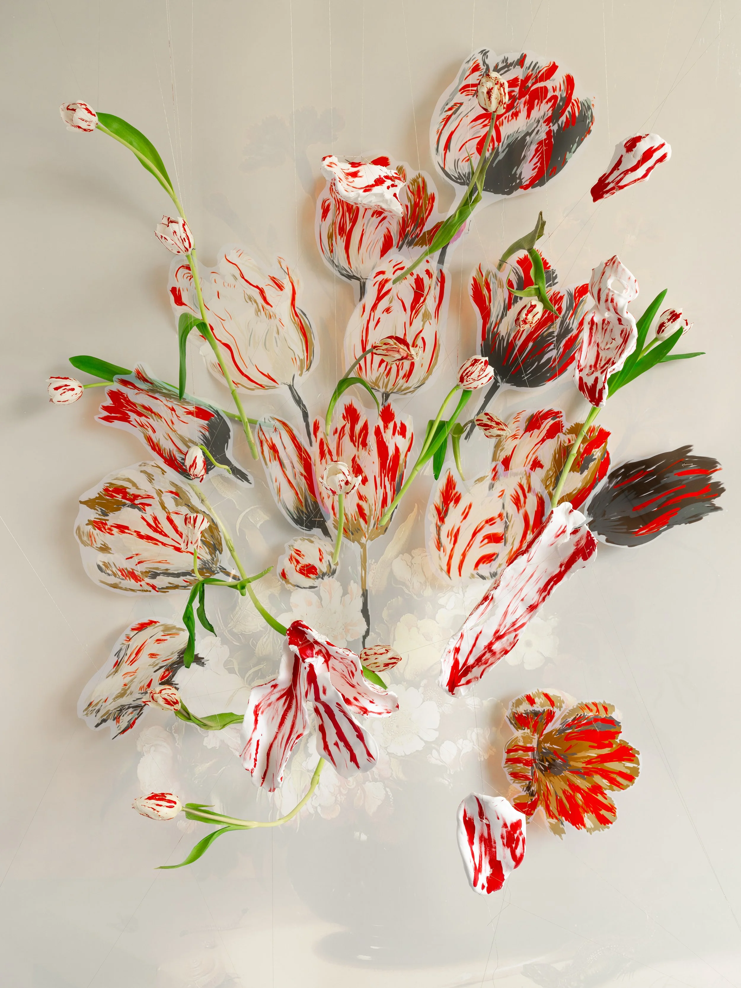 Semper Augustus Tulips.jpg