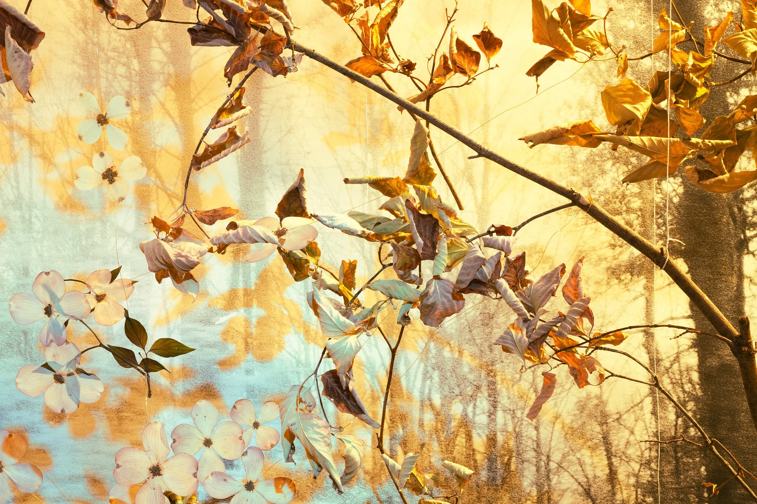 3000px_DSC02284 copy_detail 3.jpg