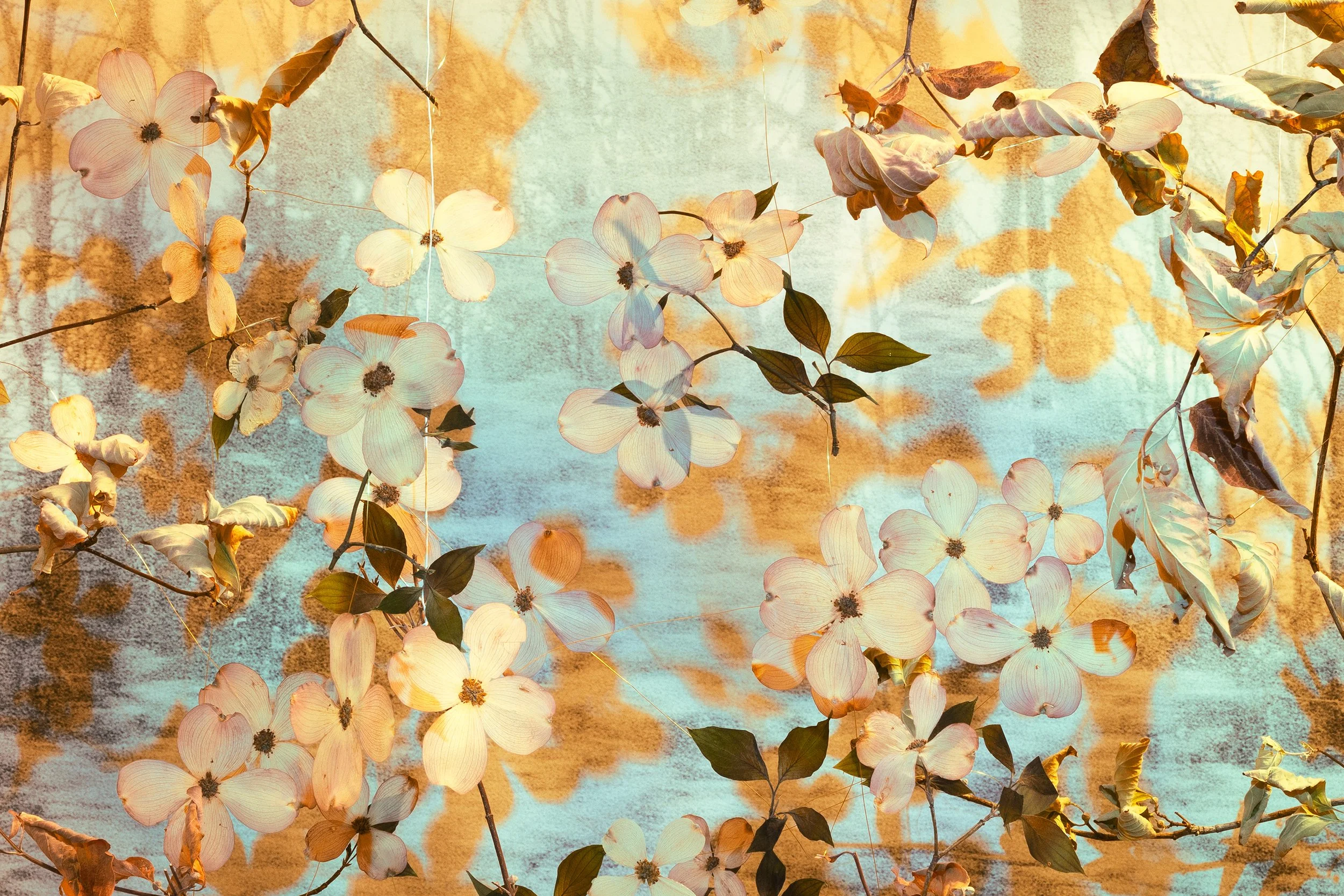 3000px_DSC02284 copy_detail 1.jpg