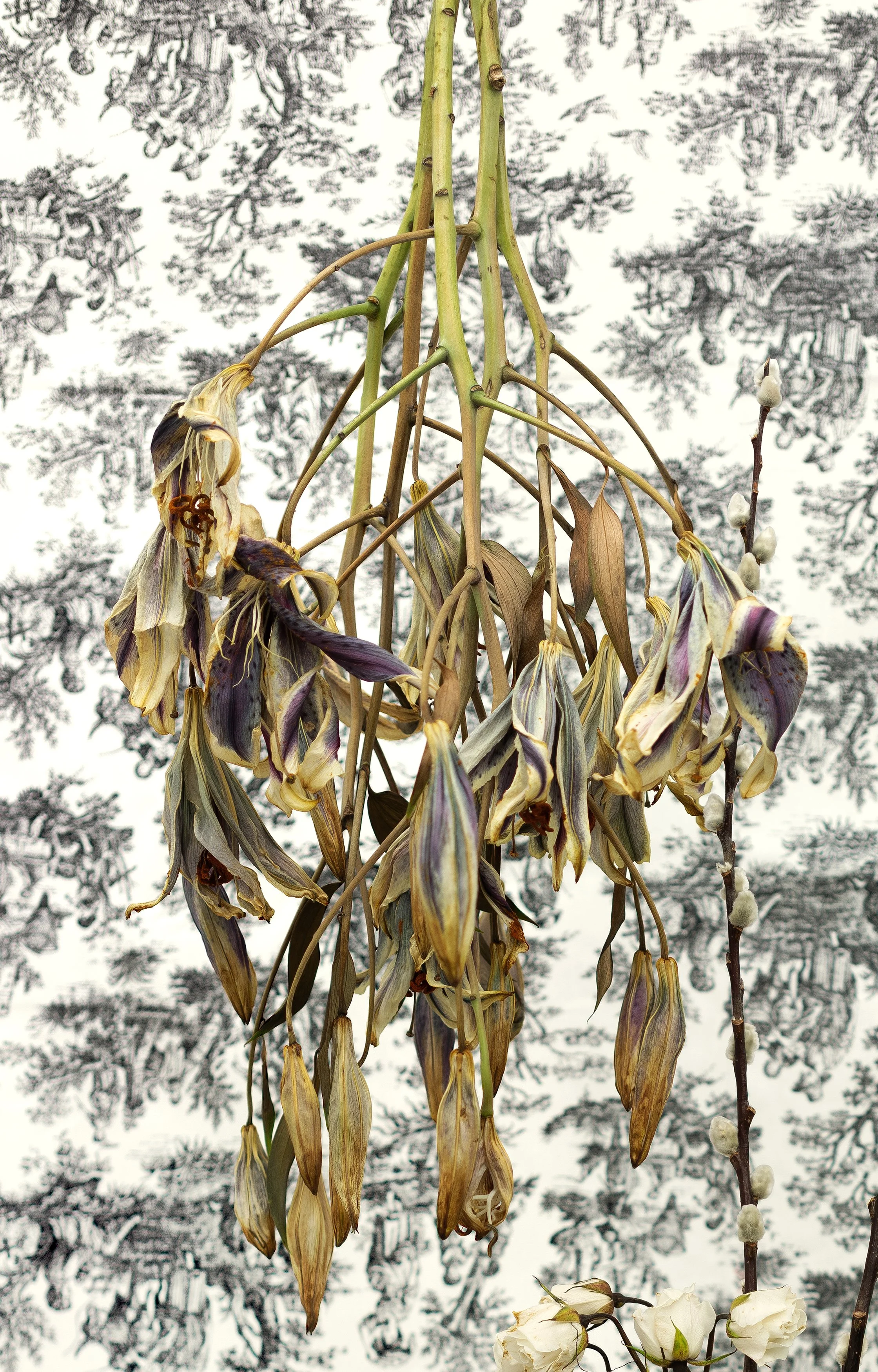 3500px_DSC09682_detail 1.jpg