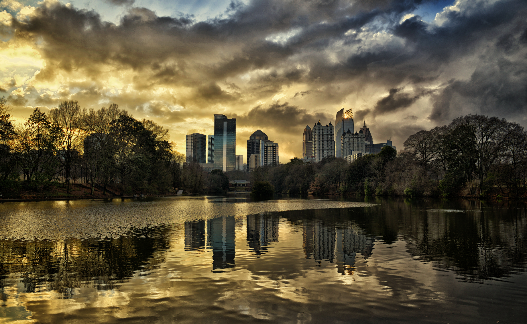 CP Web Portfolio 006.jpg