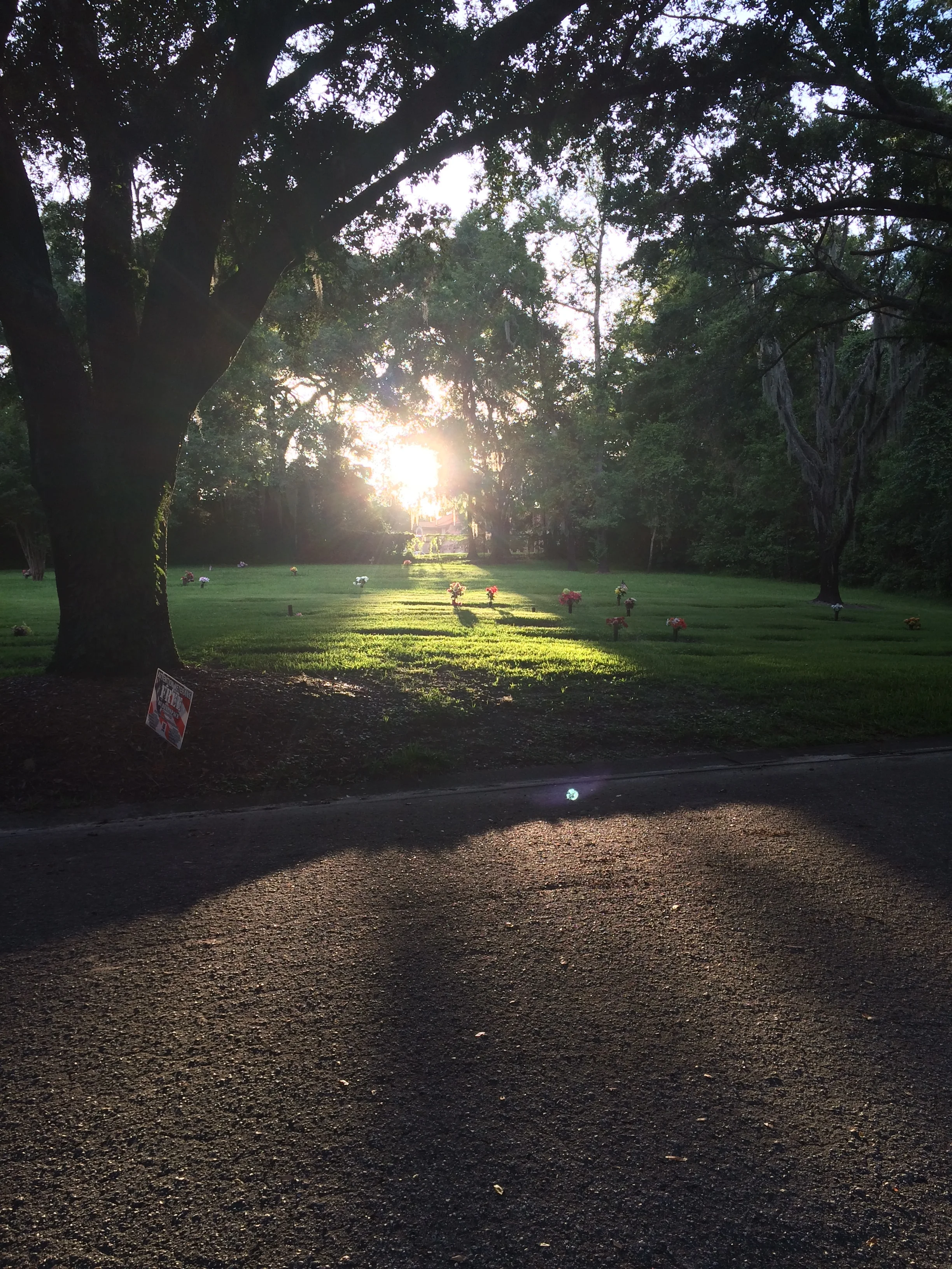 File Nov 08, 9 29 16 AM.jpeg