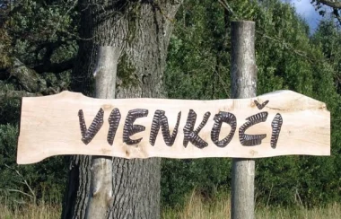 Uguns nakts Vienkoču parkā