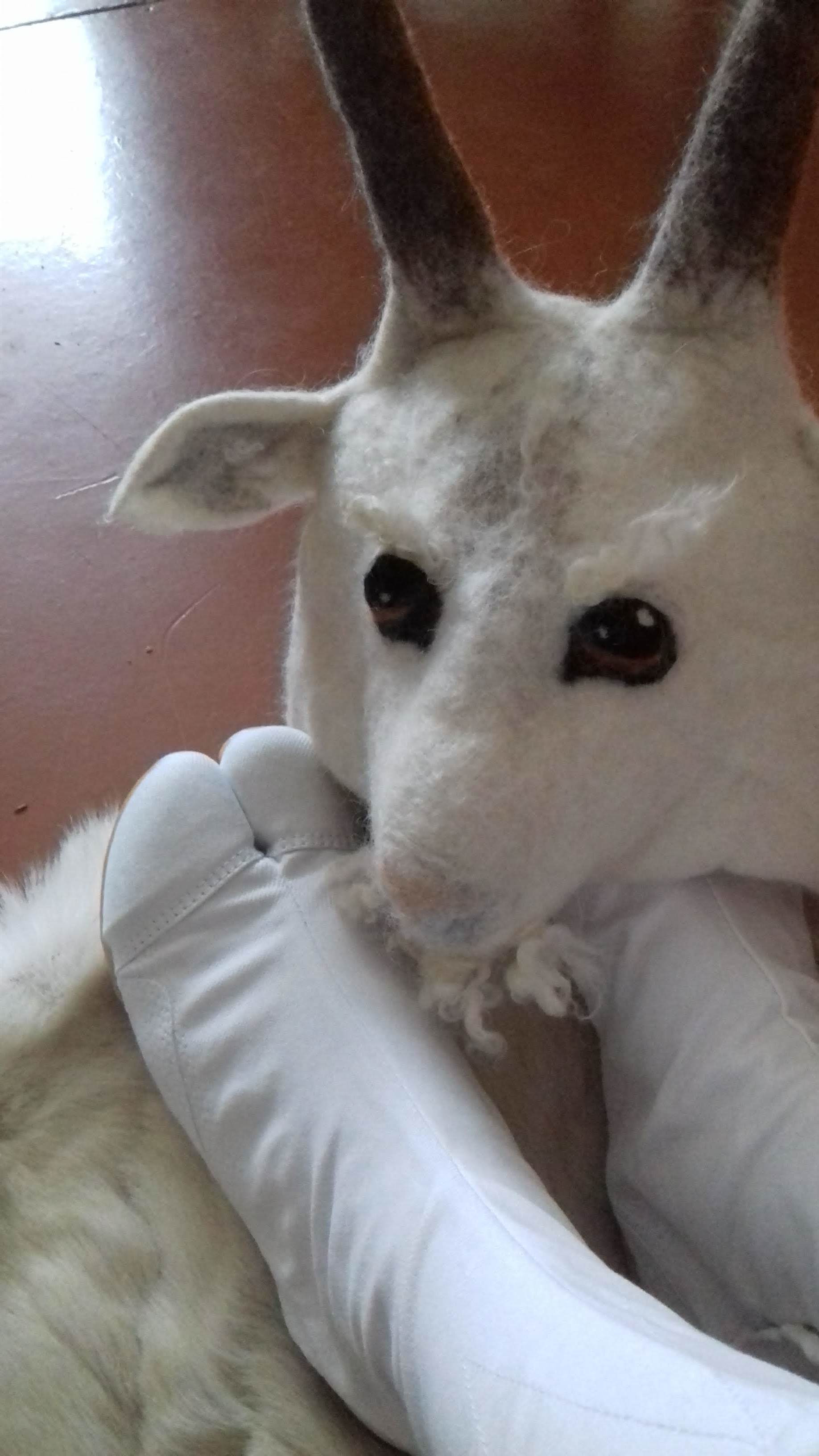 Meteņi. Masku fesivāls. 