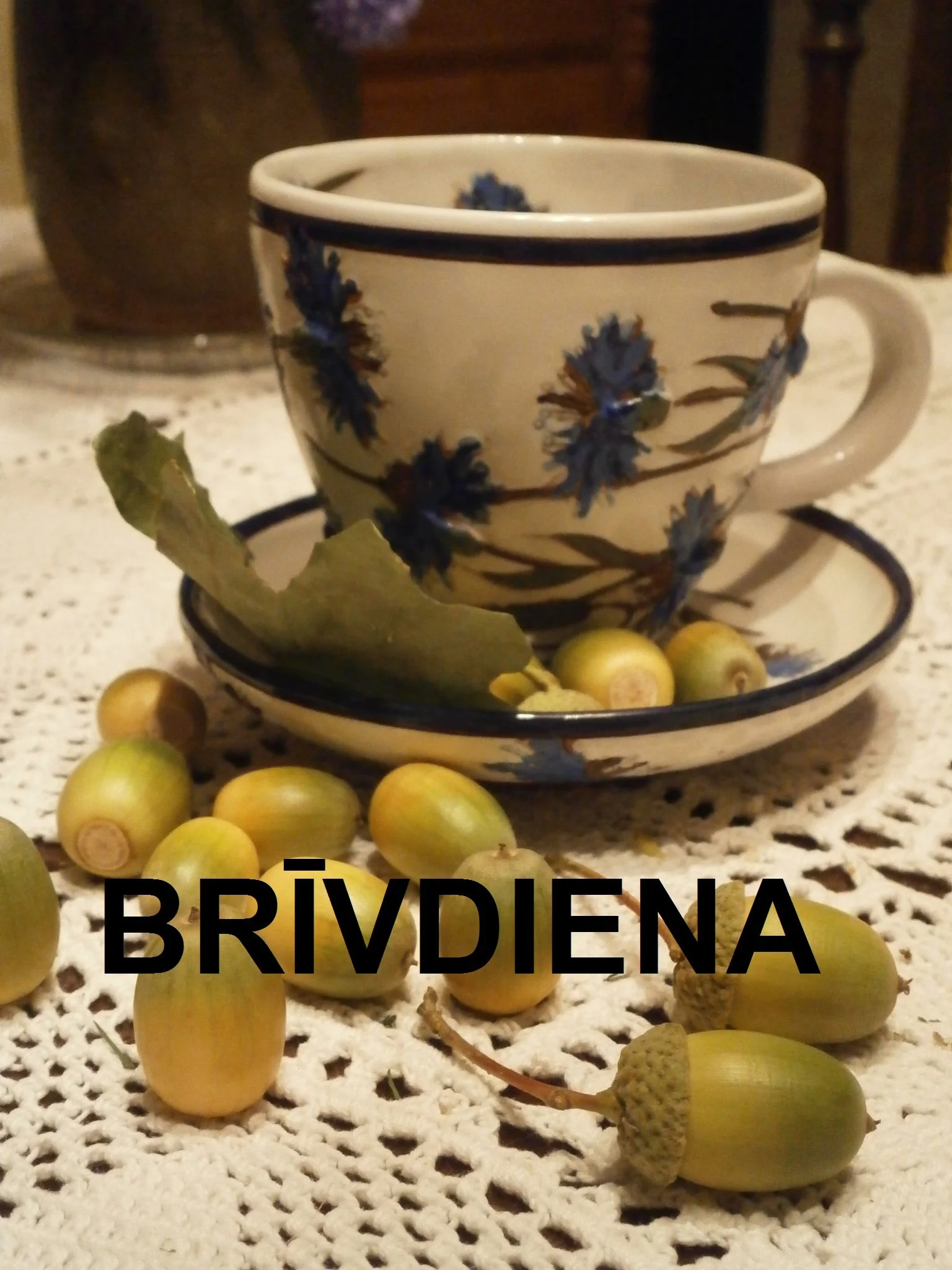 BRĪVDIENA Salaspilī
