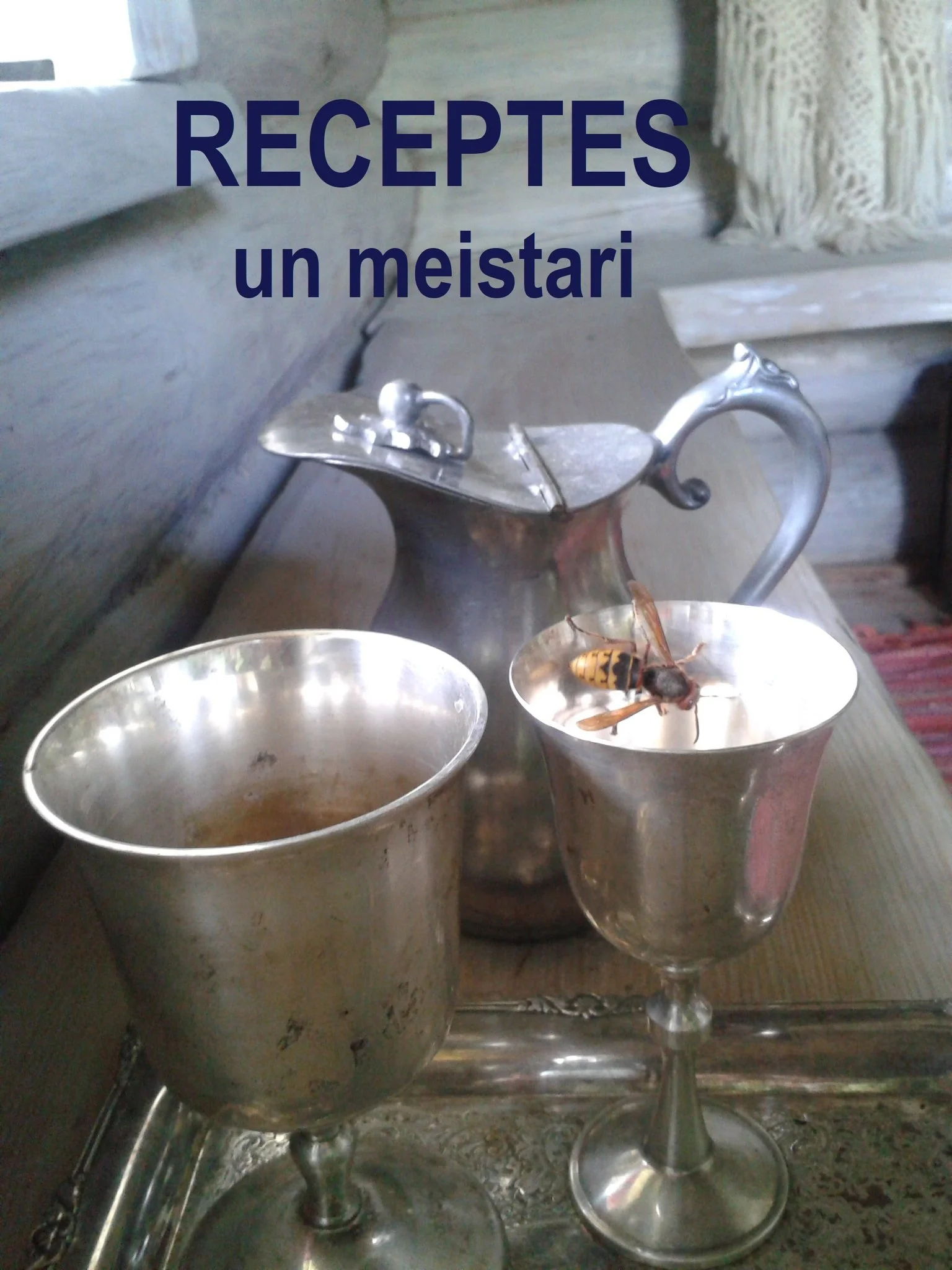 Meistarklase LEBM Rīgā