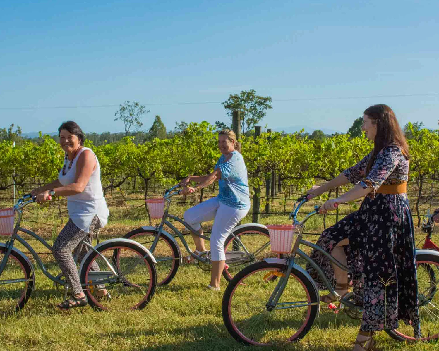 D21500wx1200pxh_72dpi_MWT_0000s_0001_AM_171210_MTNWINETOUR-7590.jpg