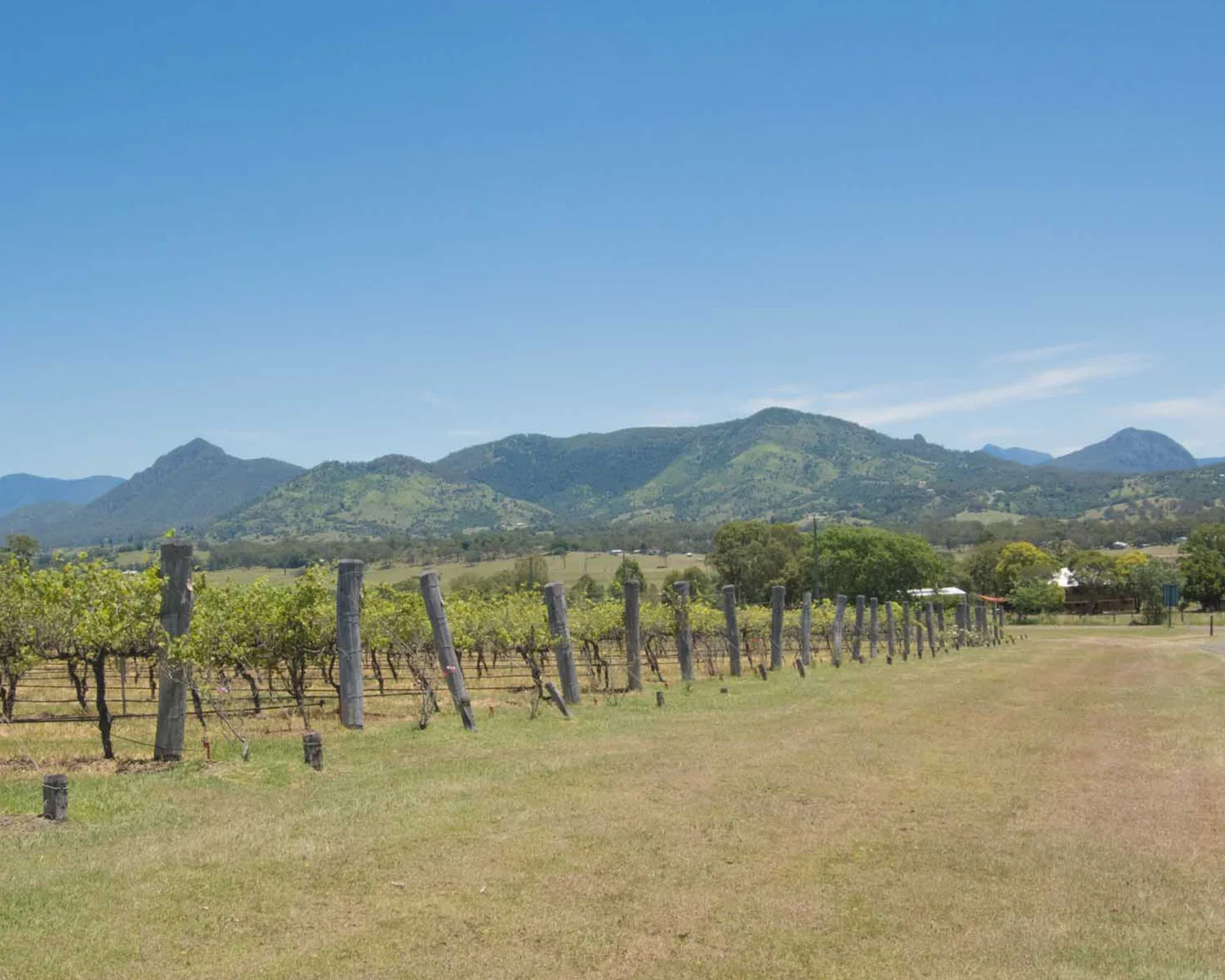 D21500wx1200pxh_72dpi_MWT_0000s_0003_AM_171210_MTNWINETOUR-6585.jpg