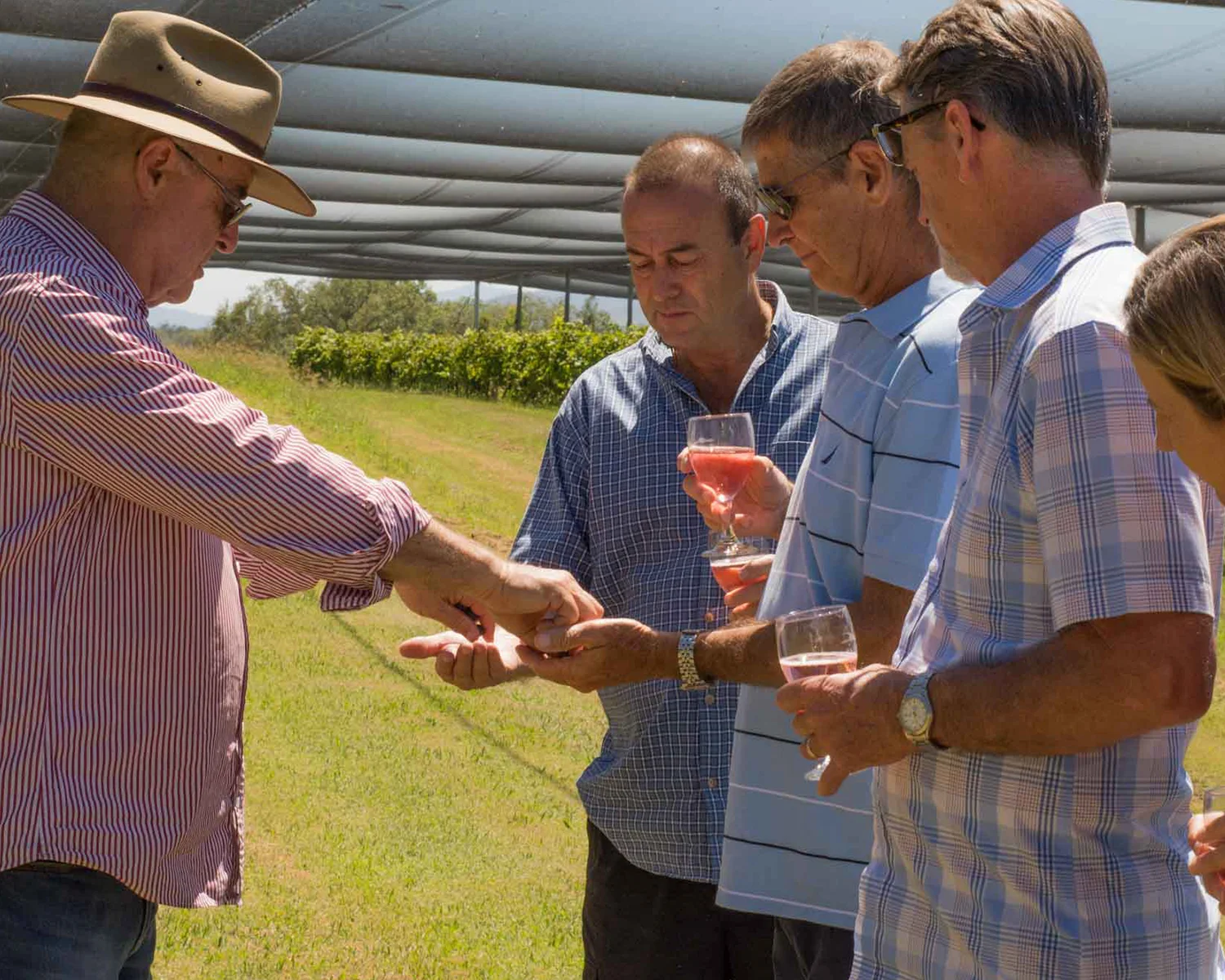 D21500wx1200pxh_72dpi_MWT_0000s_0008_AM_171210_MTNWINETOUR-5982.jpg