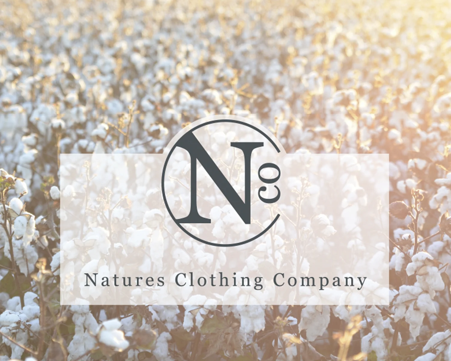 1500x1200px_NCC_0009_Background.jpg