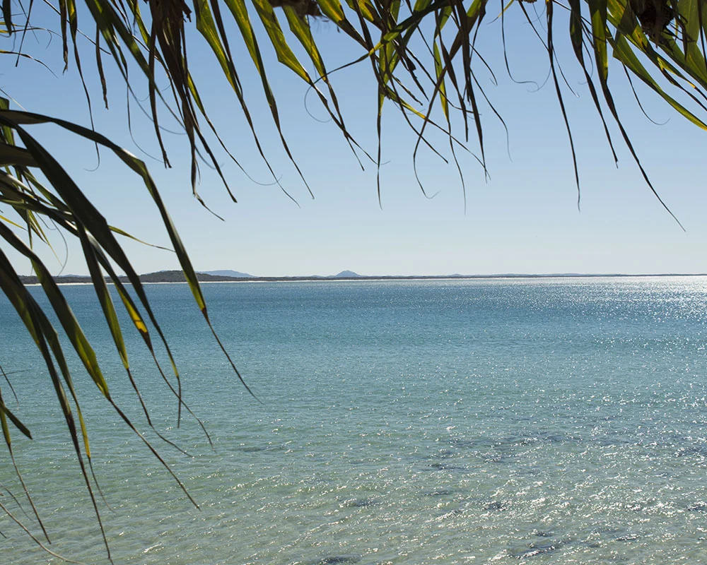 AVIATEMEDIA_CATALANI_0007_noosalittlecove19071403.jpg