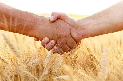 Handshake.jpg