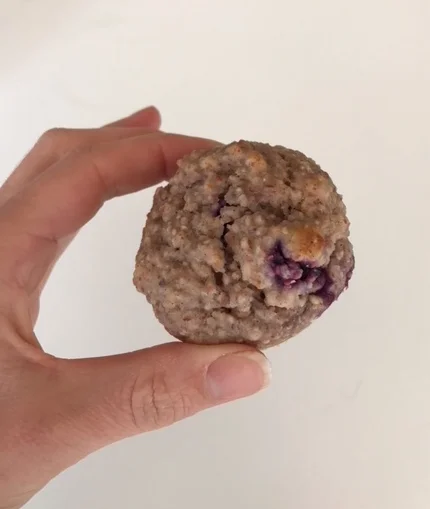 Bueberry Muffin.jpg