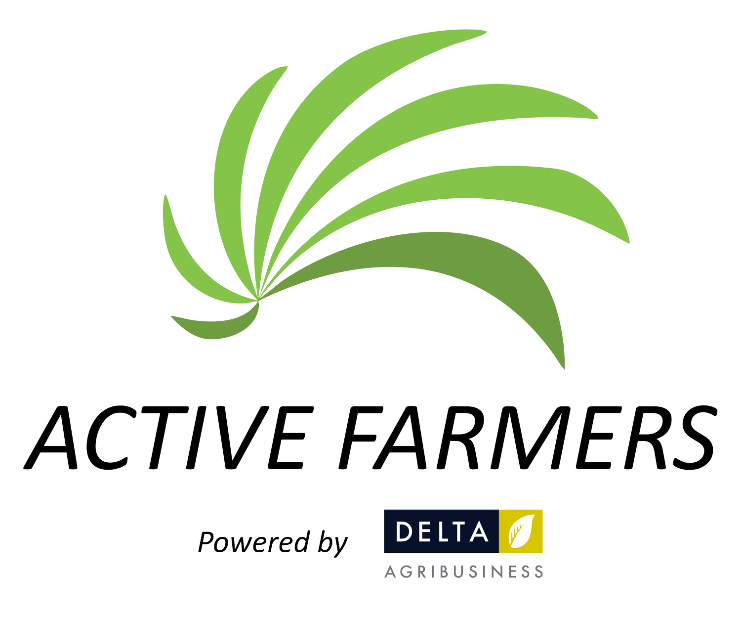 Active Farmers - Group Personal Training in Regional Australia