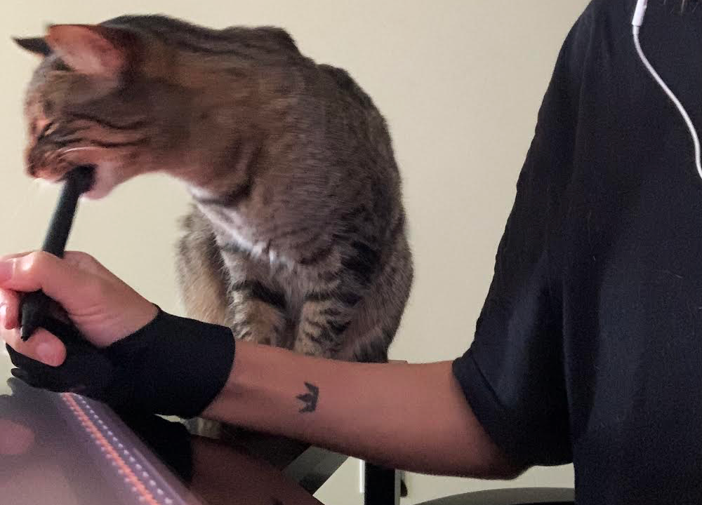 cats01.png