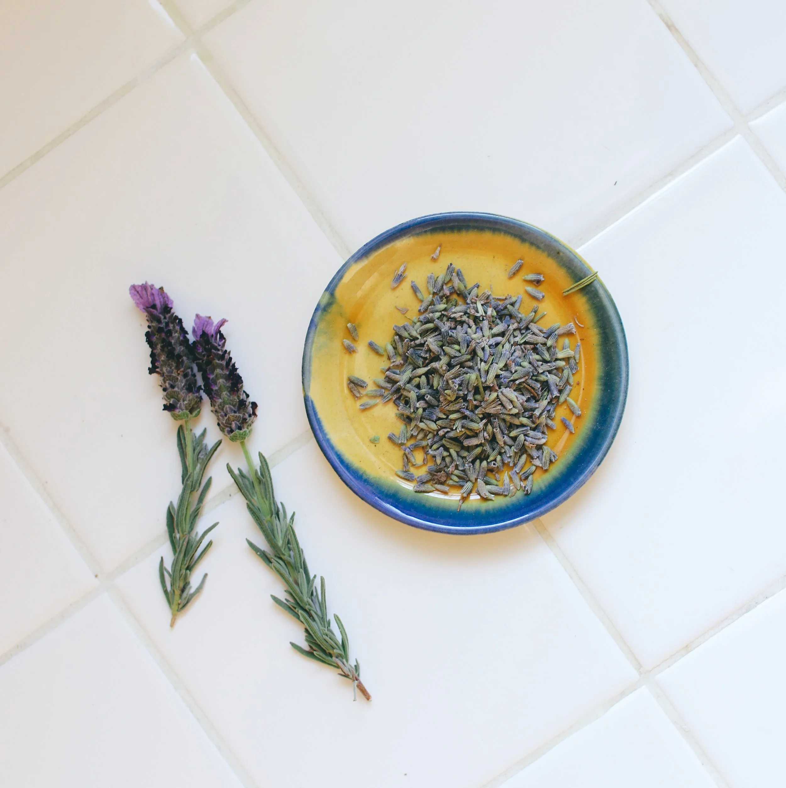 couple of spanish lavender sprigs and lavender buds - aren't they oh so cute!