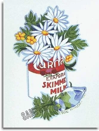 daisies.jpg