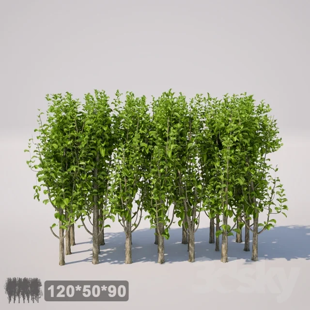 Bushes - Bushes_00 MYKAPOT 3DSKY.jpg