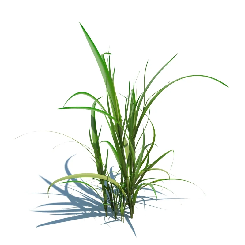 Simple Grass - Simple ARCH124_67 v1.jpg