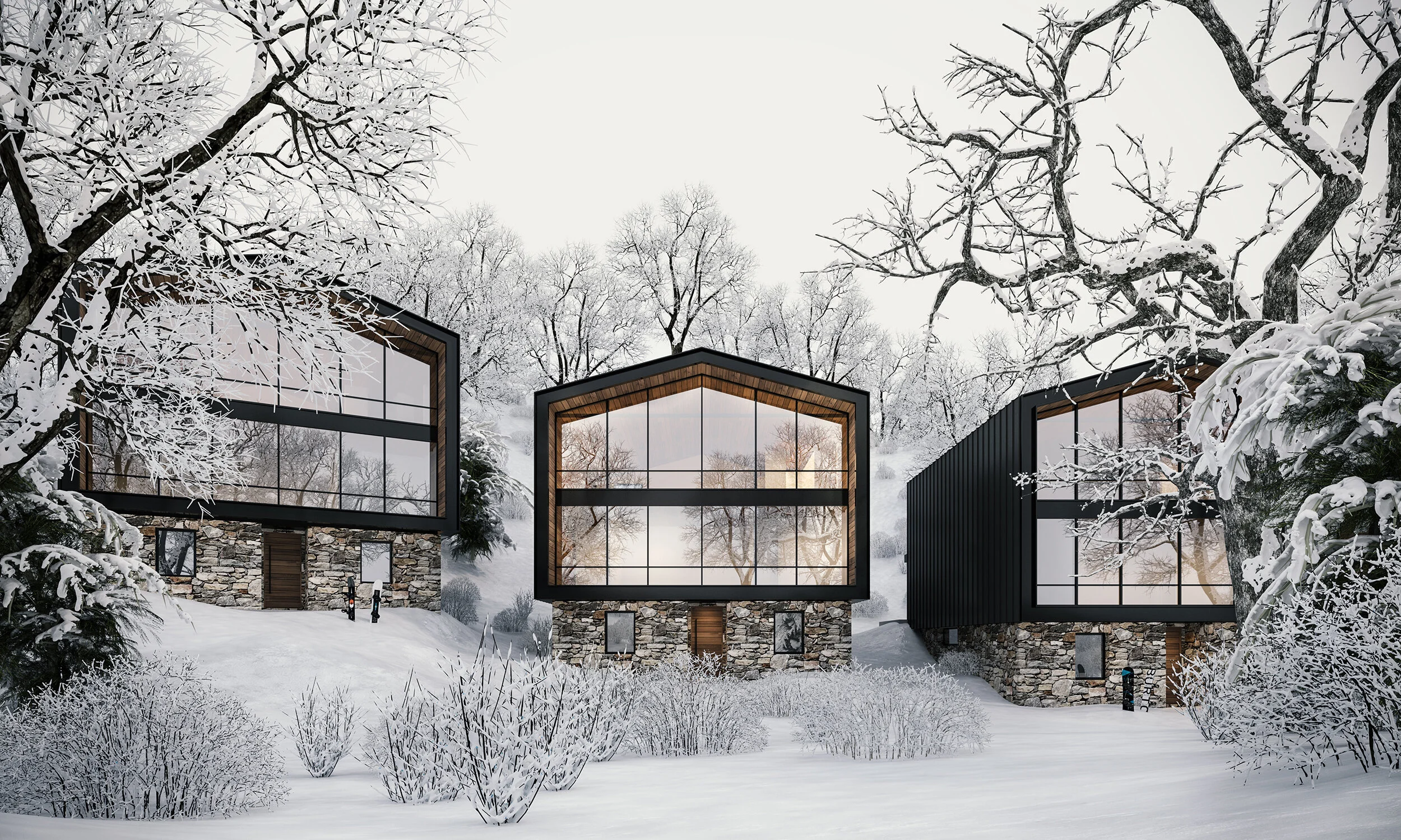 Mt Hotham House - Elevation MR.jpg