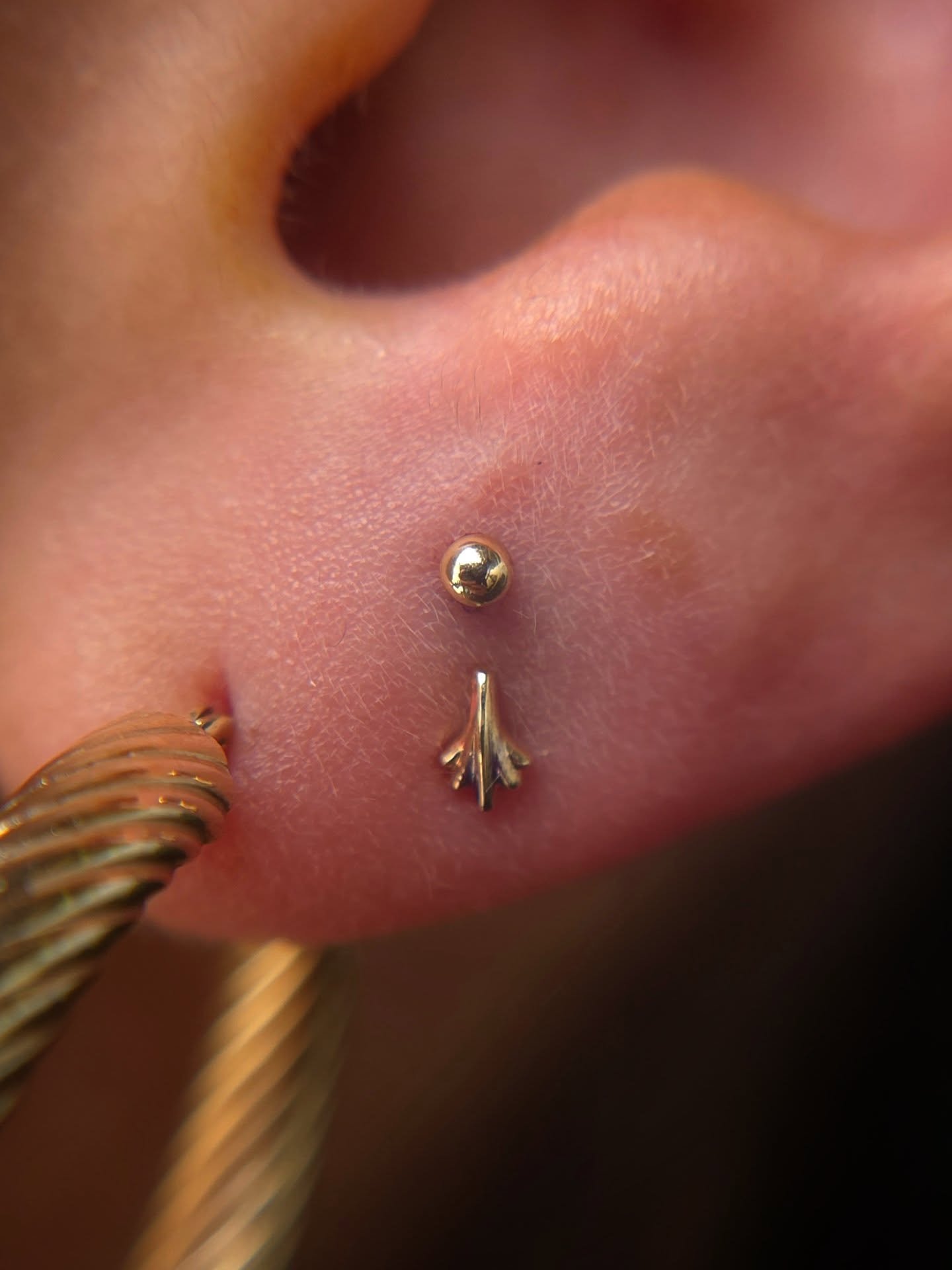 Mia was so much fun to work with!
She booked the "Let a Pro Pick" service and this is what I came up with for her 😍
A stacked lobe and nostril that blends classic simplicity with unique shape and texture. 🤌🏽💋
I'm really looking forwa