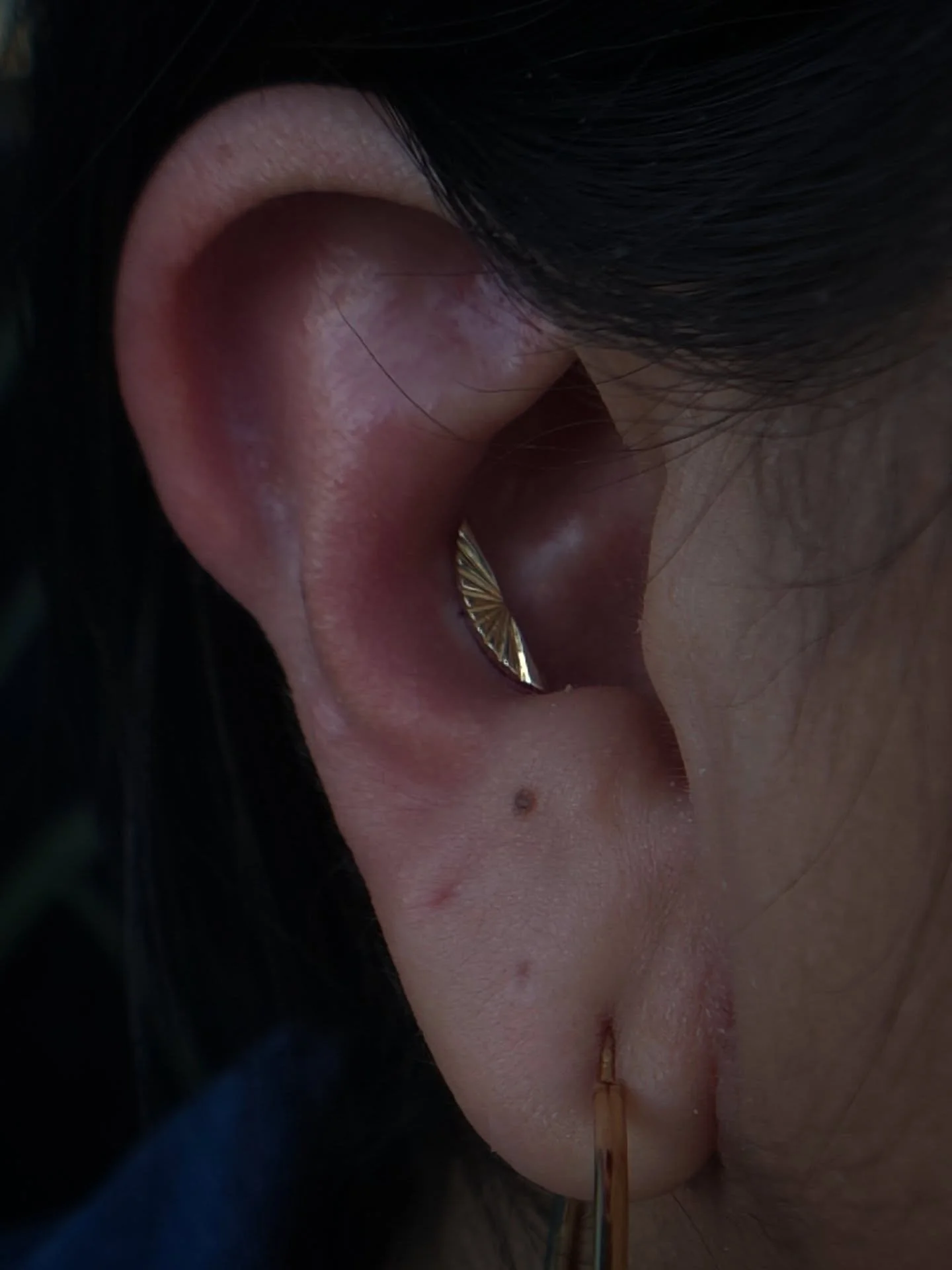 This horizon piece from @tetherjewelry is always a hit. 🙂&zwj;↕️ I personally love them in a conch piercing like this. 

We have one more in stock and I know @daniellathepiercer would ❣️ LOVE &hearts;️ to use it. Maybe in a conch like this, ooor may
