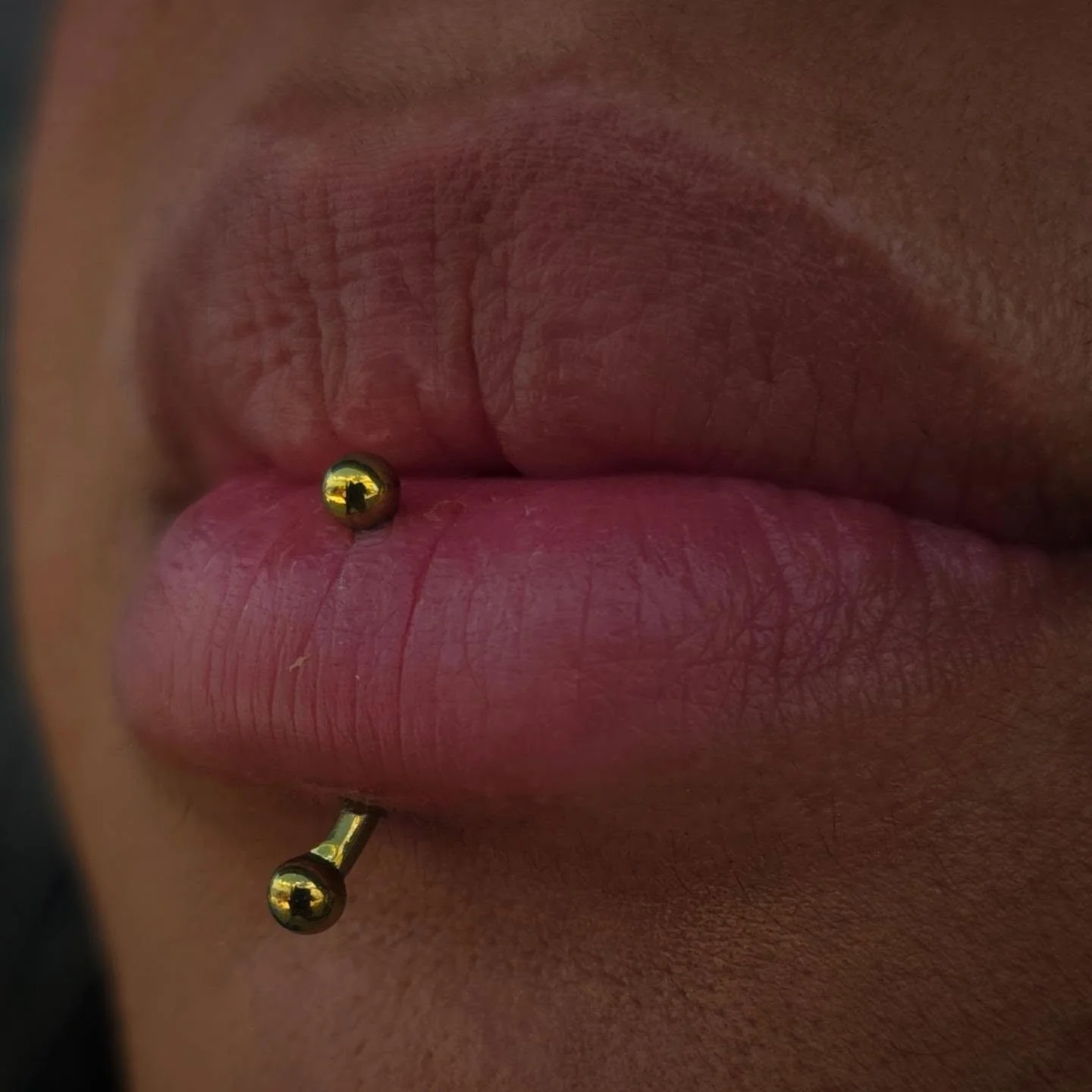 Oooh. We love a lil vertical labret action over here. 😍

@daniellathepiercer did this cutie on Jenny with a curve barbell she anodized yellow in house ✨

Daniella has availability next week and she would loooove to do more oral piercings! 🥰 DM her 