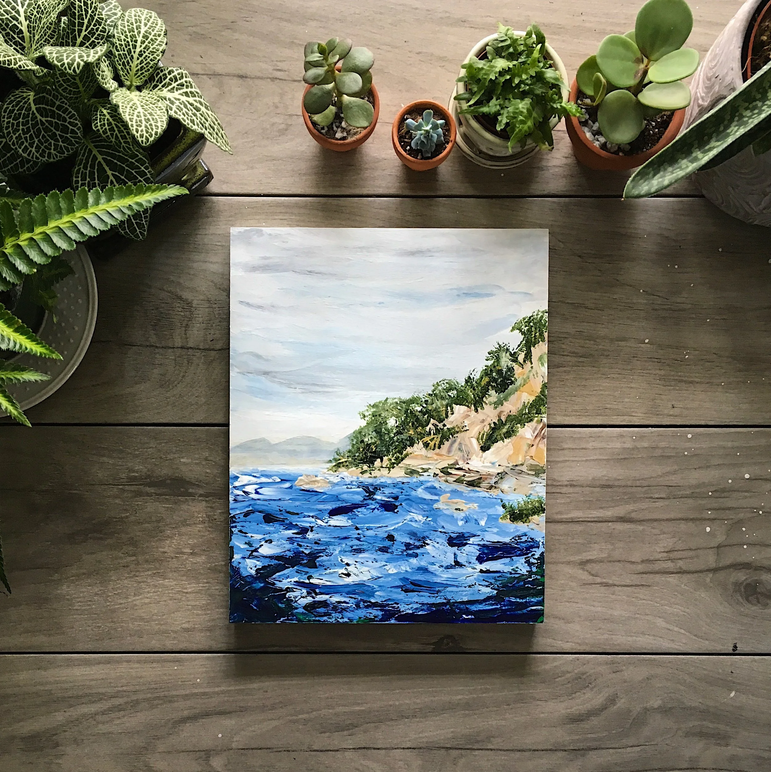 Foggy California Coastline