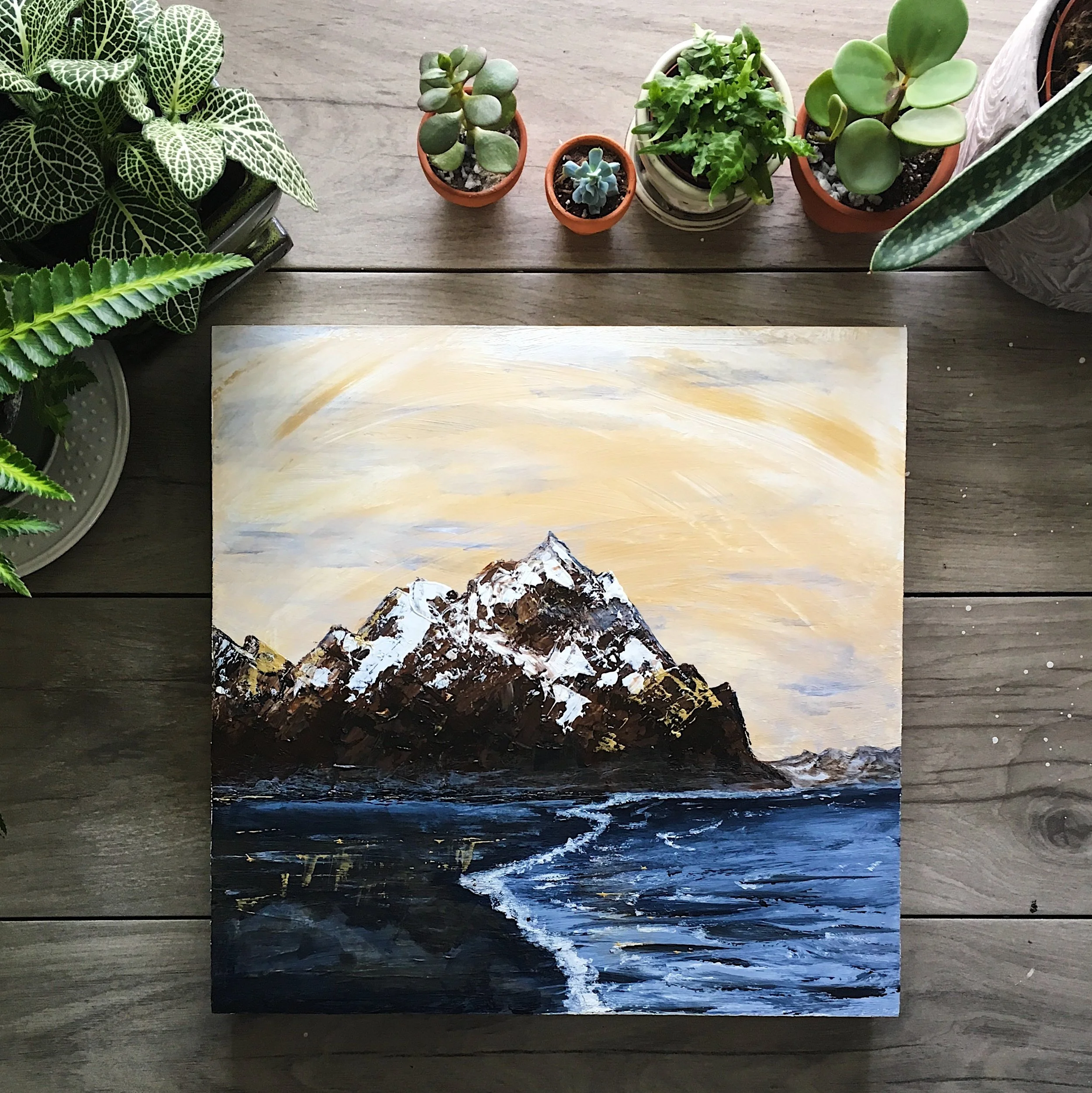 Rugged Mountain Coastline