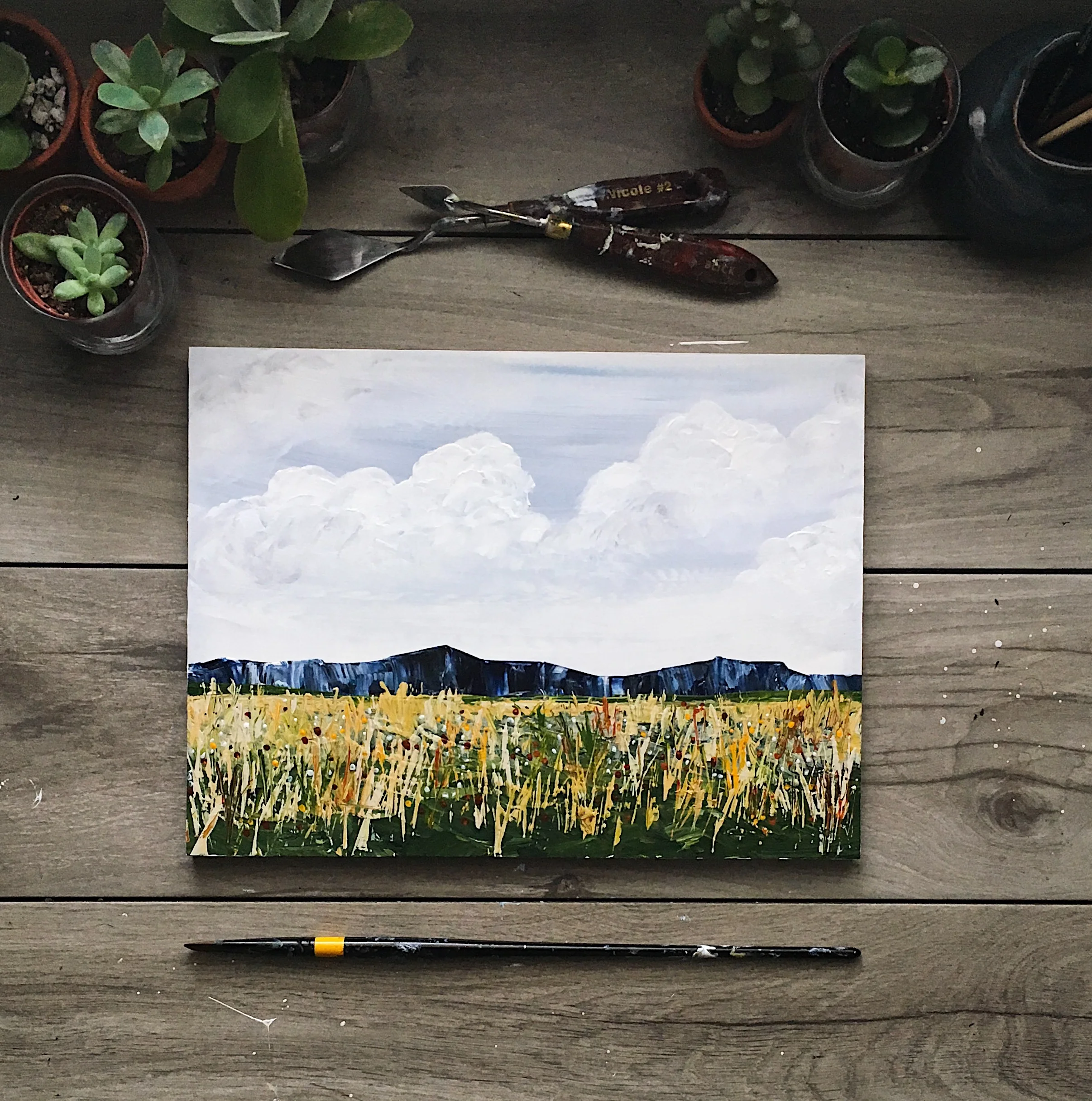 The Wildflowers Below