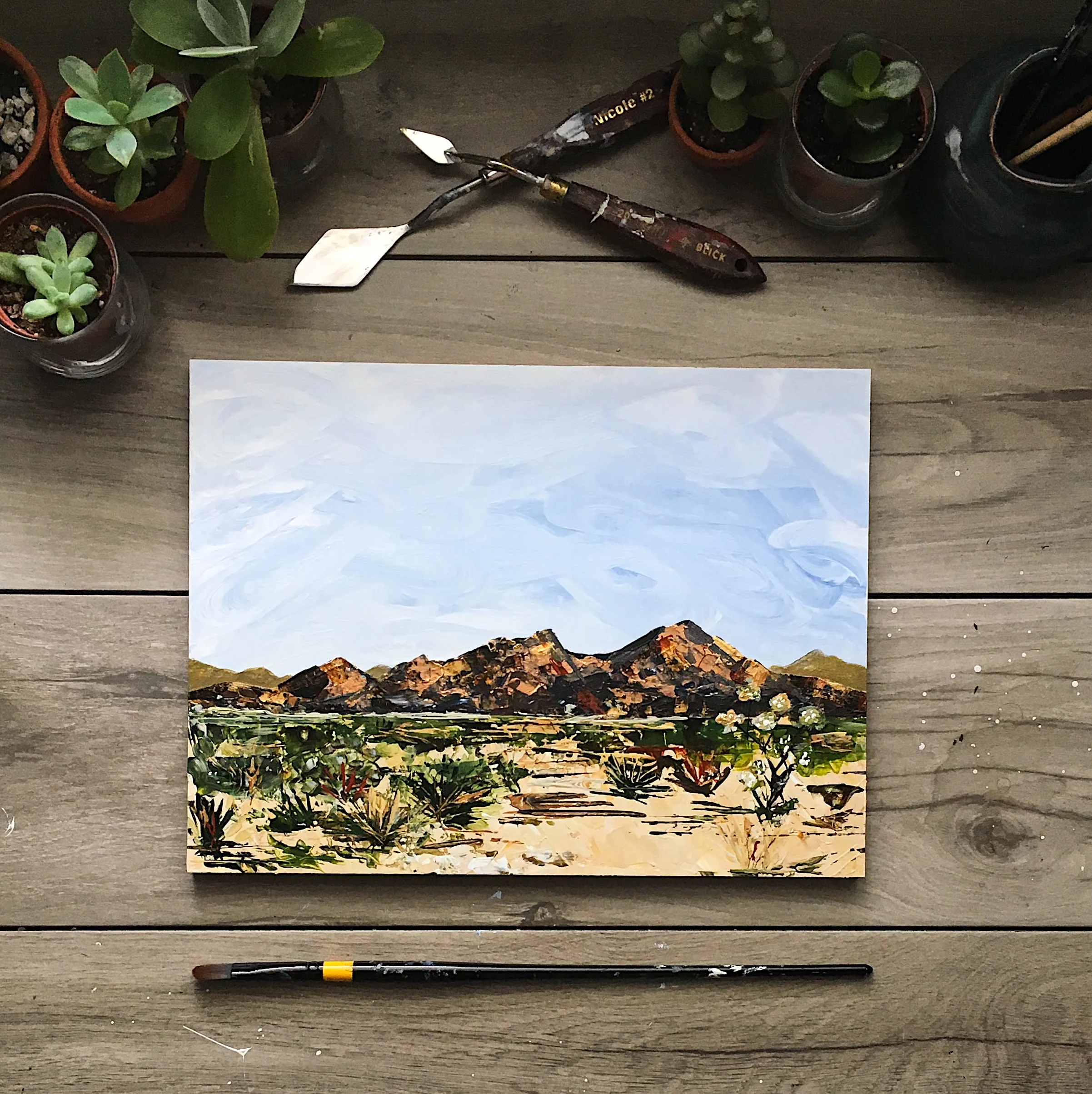 Contemplating Joshua Tree