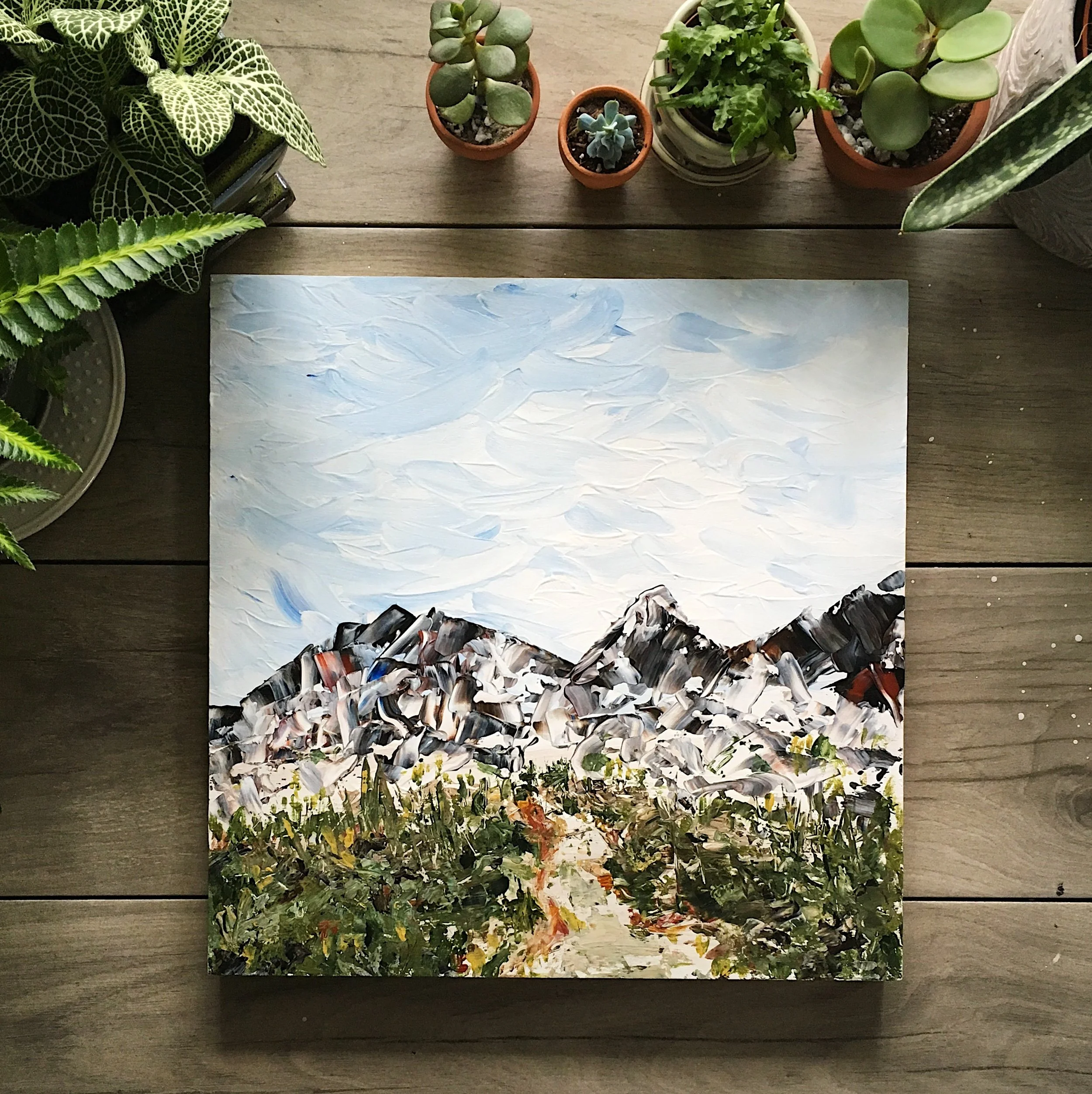 March in the Desert, Spring 2017