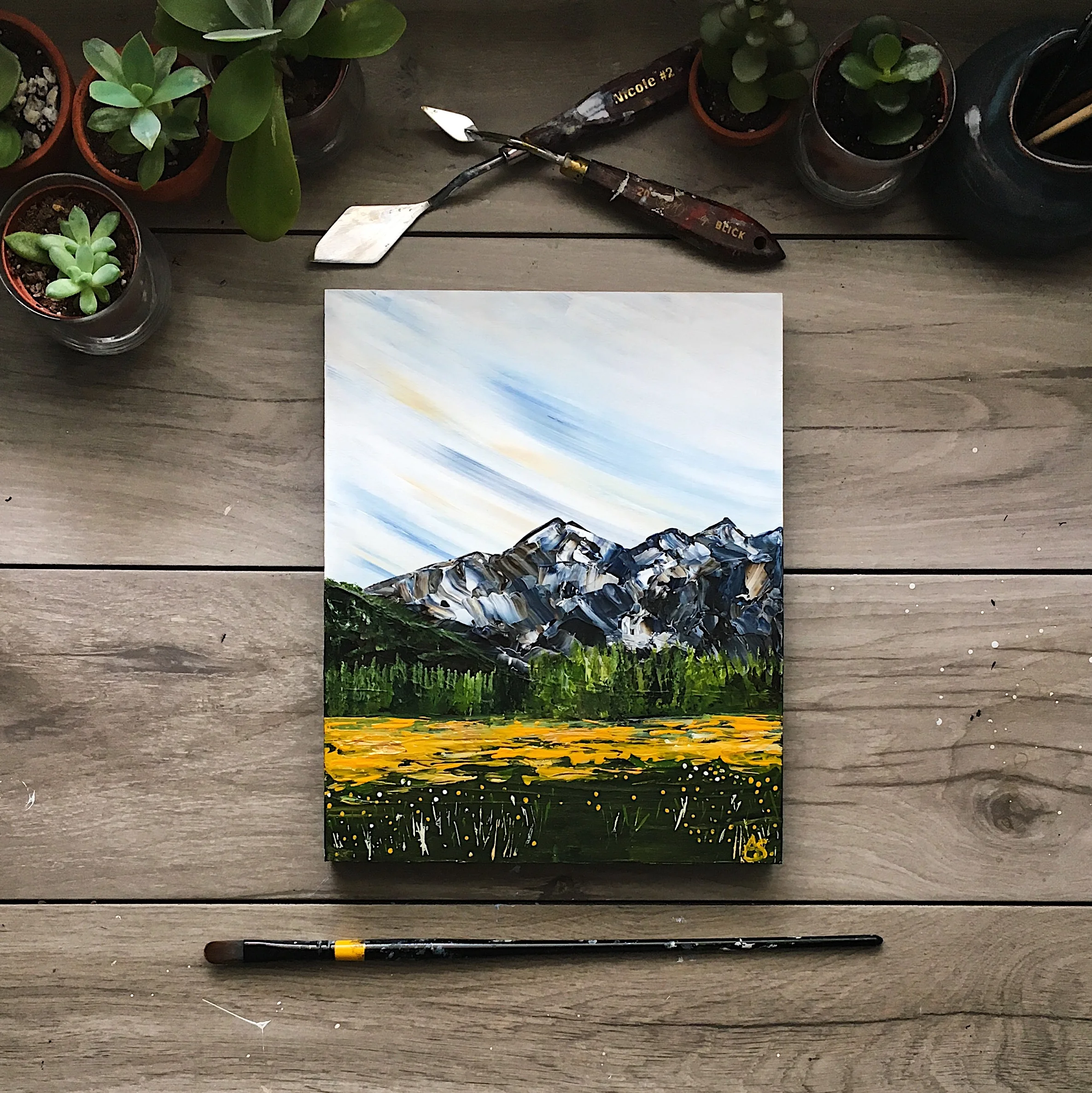 Fields of Gold, Summer 2017
